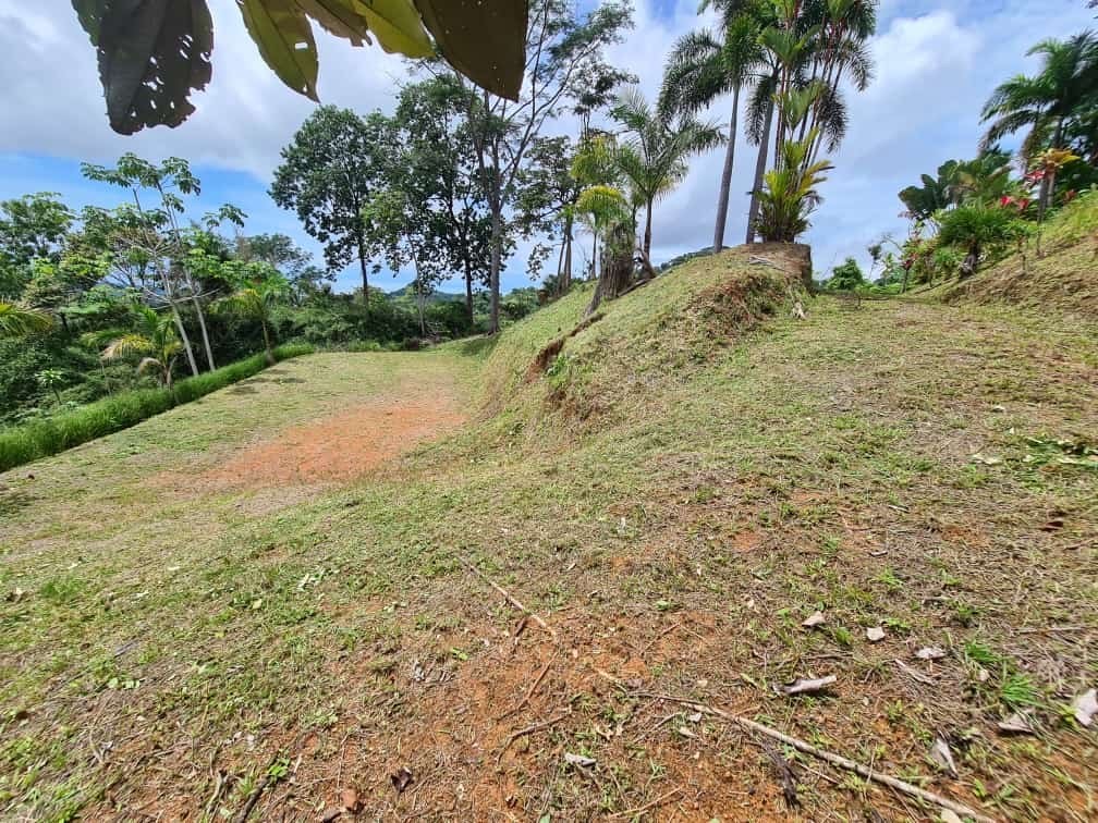 0 bed Land For Sale in Ojochal, Puntarenas - thumb 10