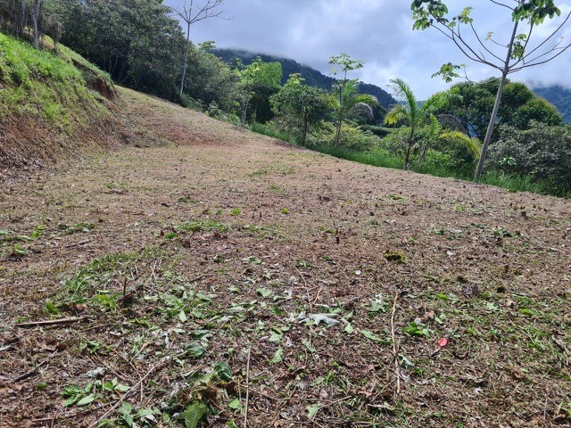 0 bed Land For Sale in Ojochal, Puntarenas - thumb 12
