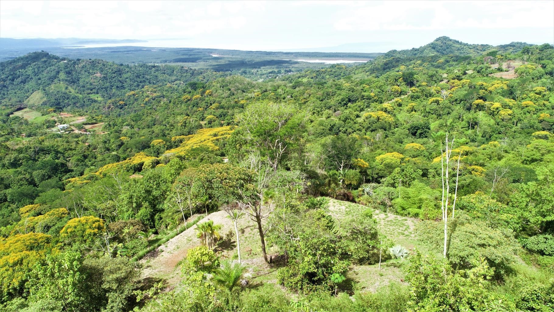 0 bed Land For Sale in Ojochal, Puntarenas - thumb 5