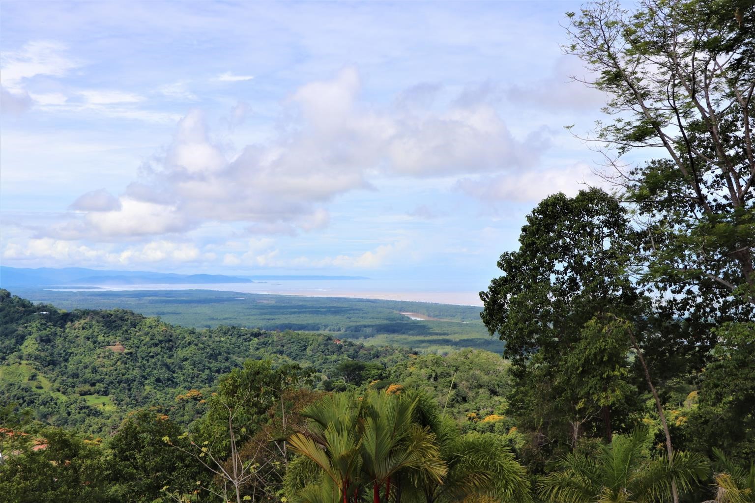 0 bed Land For Sale in Ojochal, Puntarenas - thumb 3