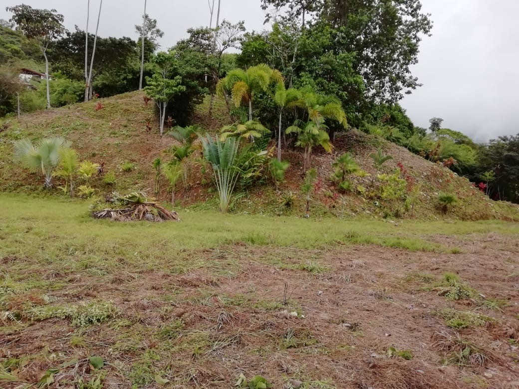0 bed Land For Sale in Ojochal, Puntarenas - thumb 14