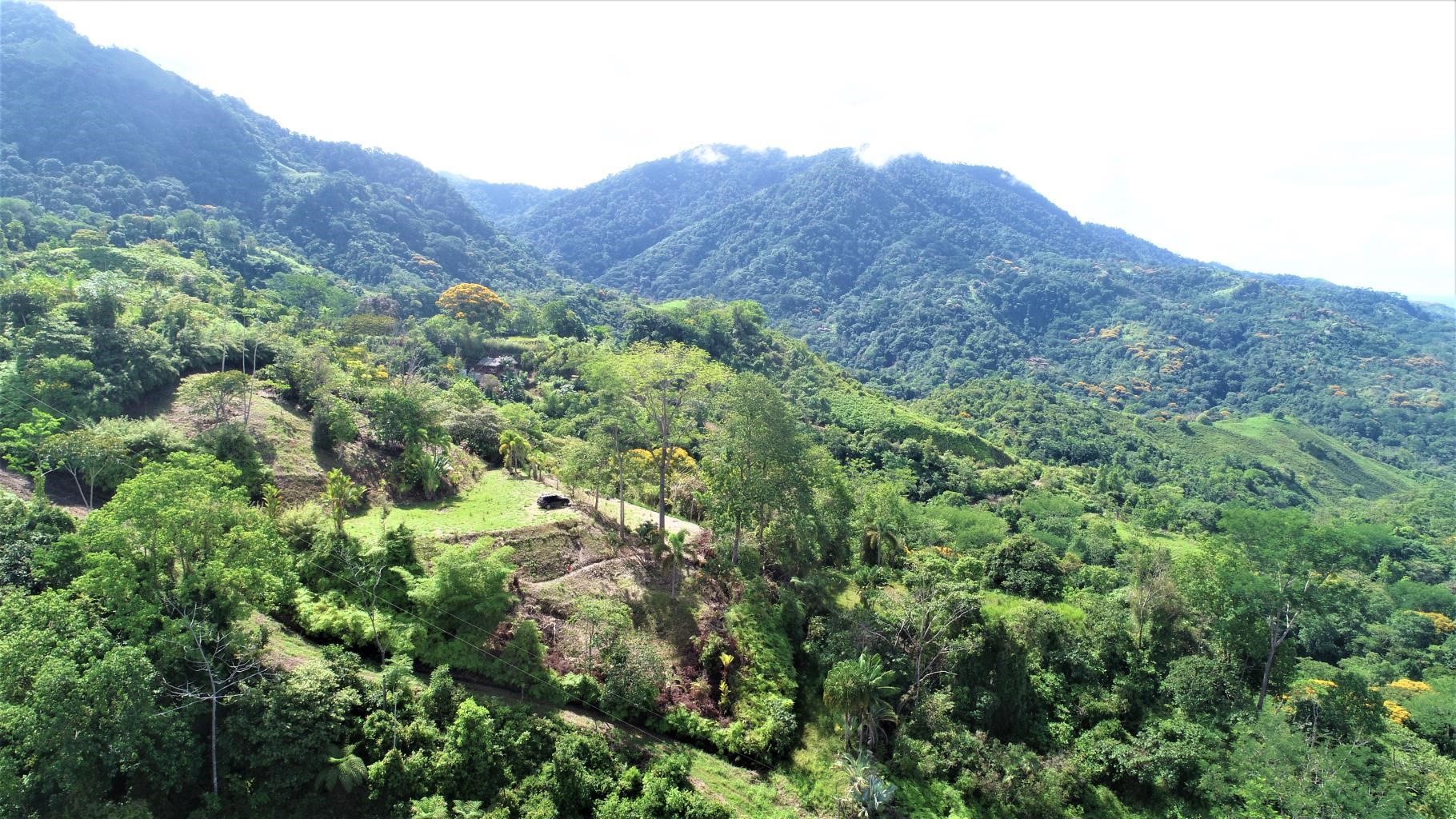 0 bed Land For Sale in Ojochal, Puntarenas - thumb 4