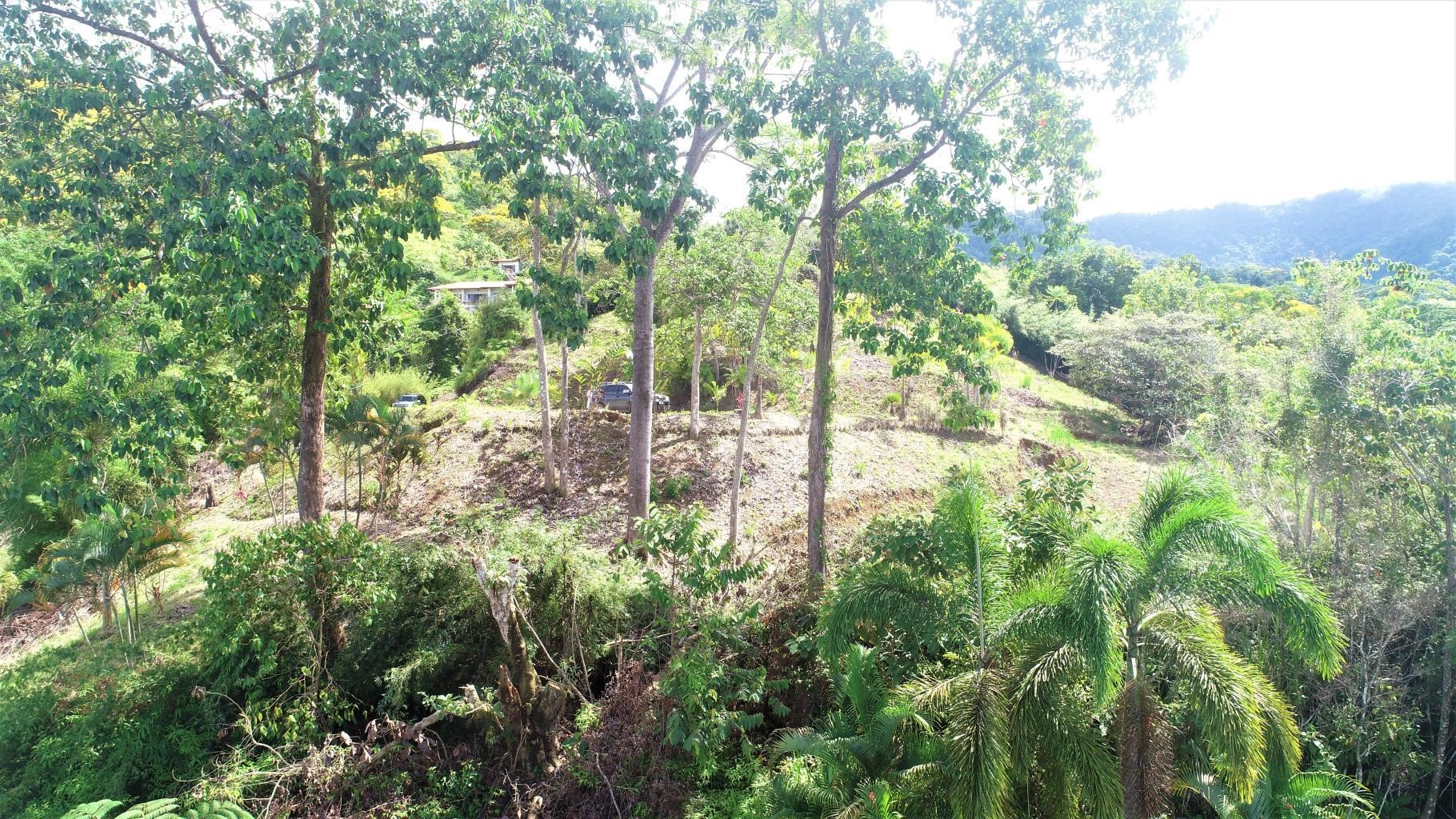 0 bed Land For Sale in Ojochal, Puntarenas - thumb 13