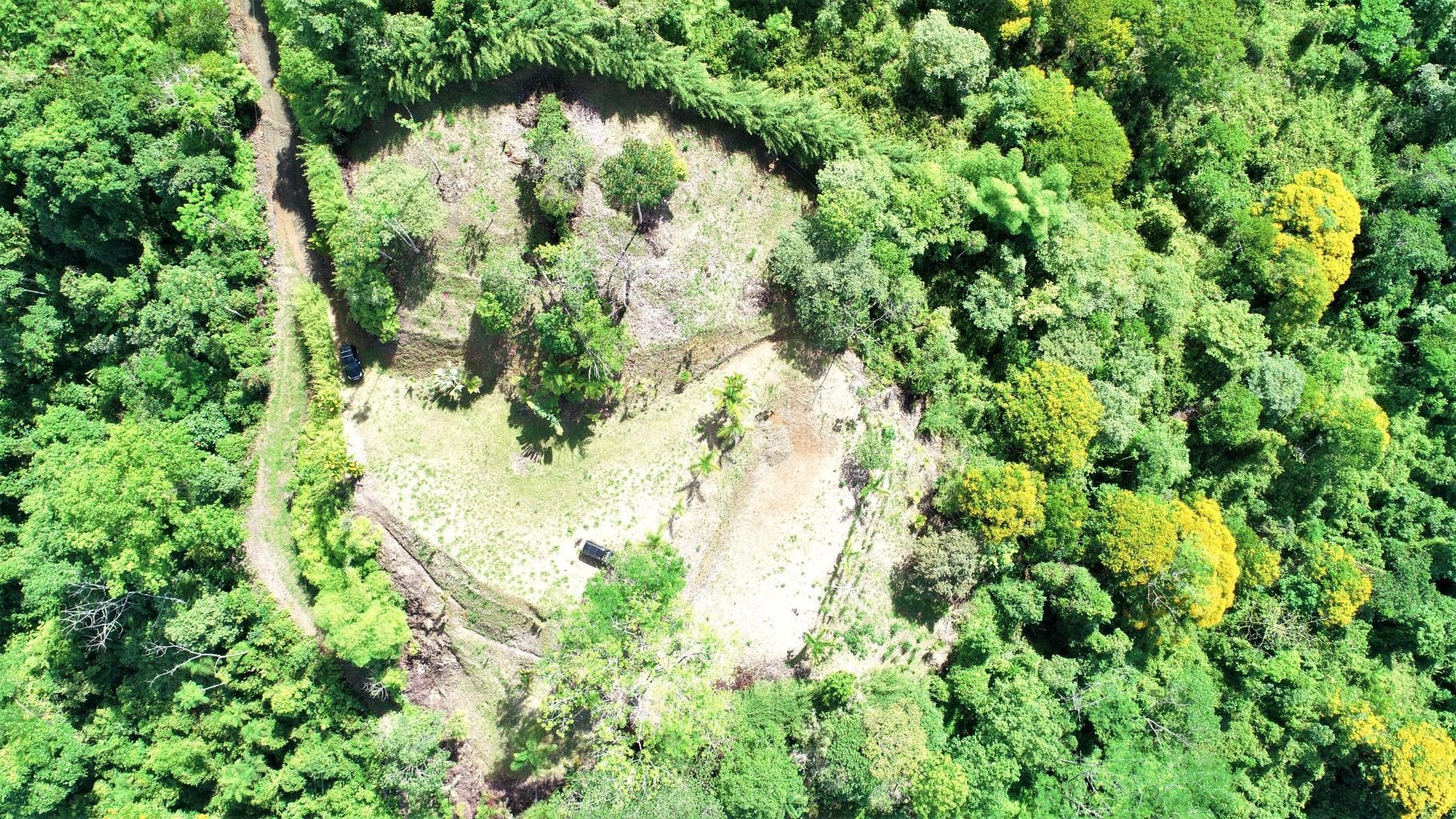 0 bed Land For Sale in Ojochal, Puntarenas - thumb 8