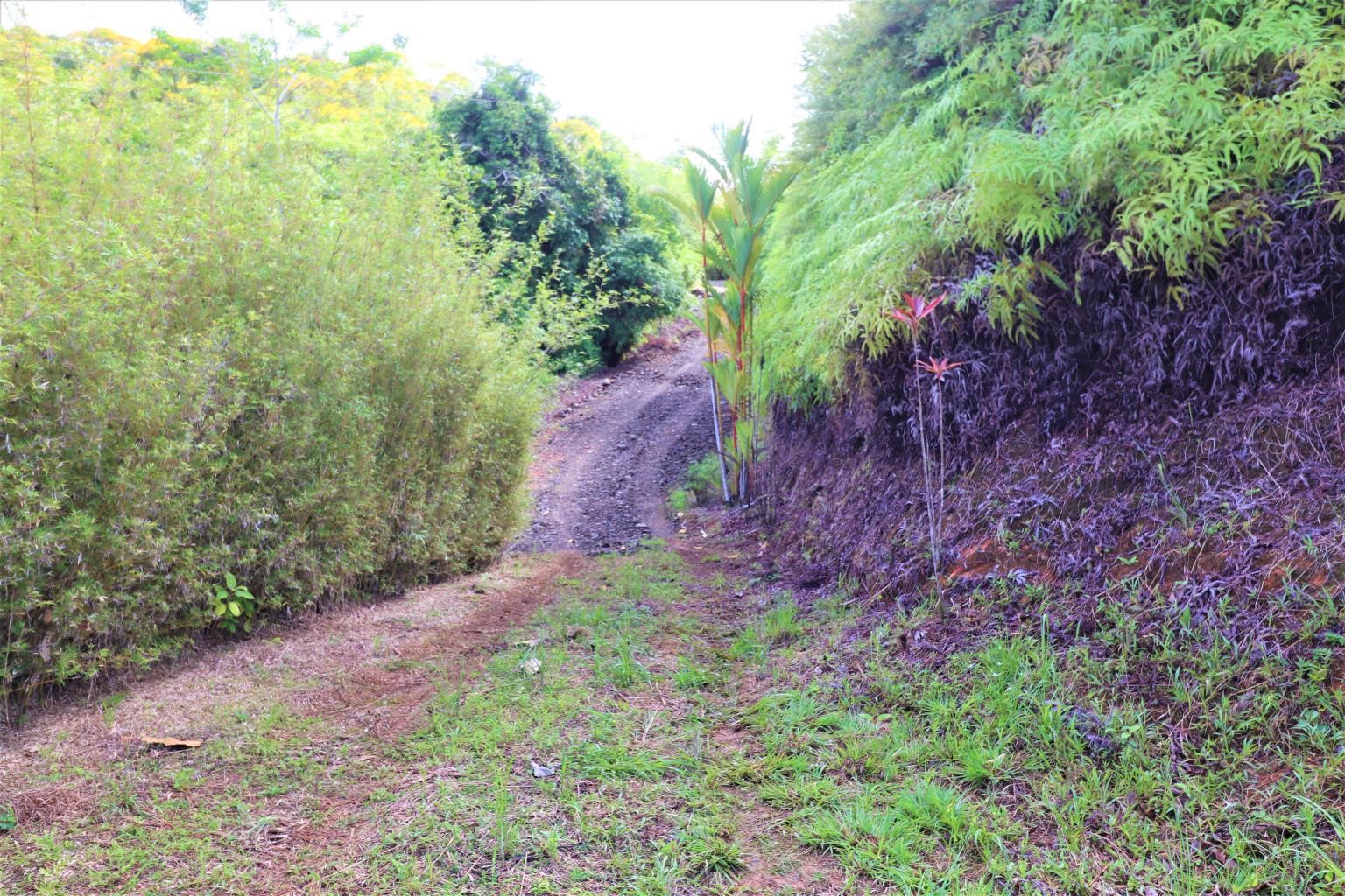 0 bed Land For Sale in Ojochal, Puntarenas - thumb 15