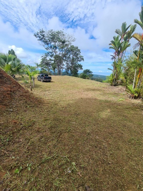 0 bed Land For Sale in Ojochal, Puntarenas - thumb 11