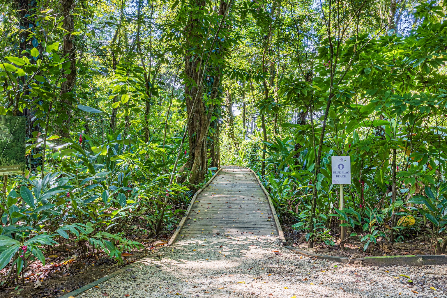 3 bed Condo For Sale in Uvita, Puntarenas - thumb 20