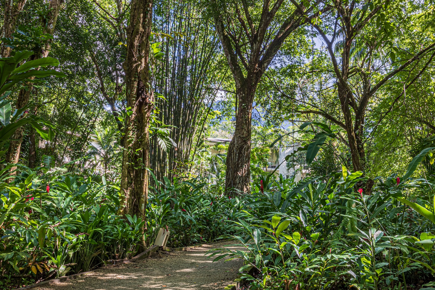 3 bed Condo For Sale in Uvita, Puntarenas - thumb 29