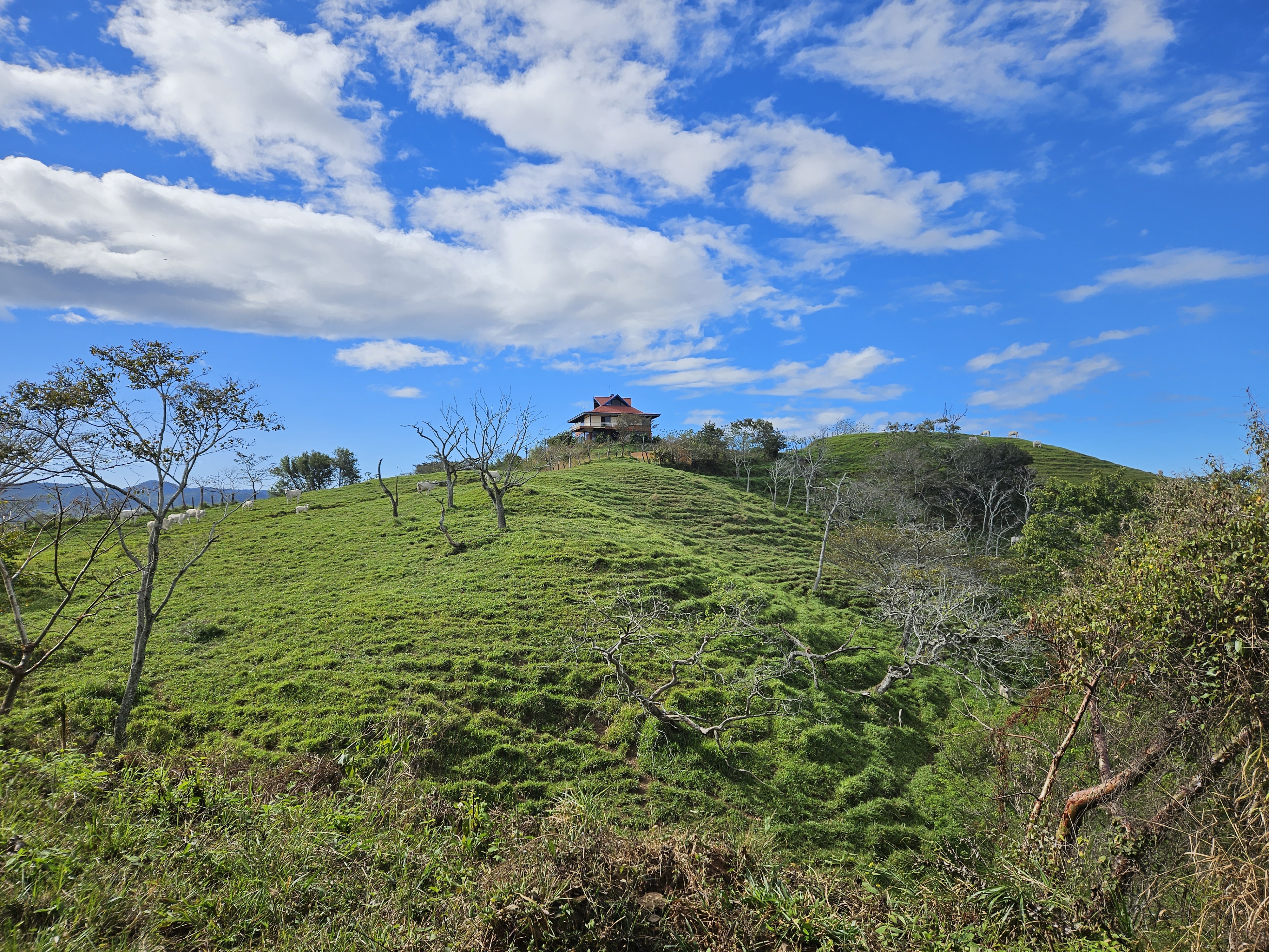 4 bed Land For Sale in Alajuela, Alajuela - thumb 8