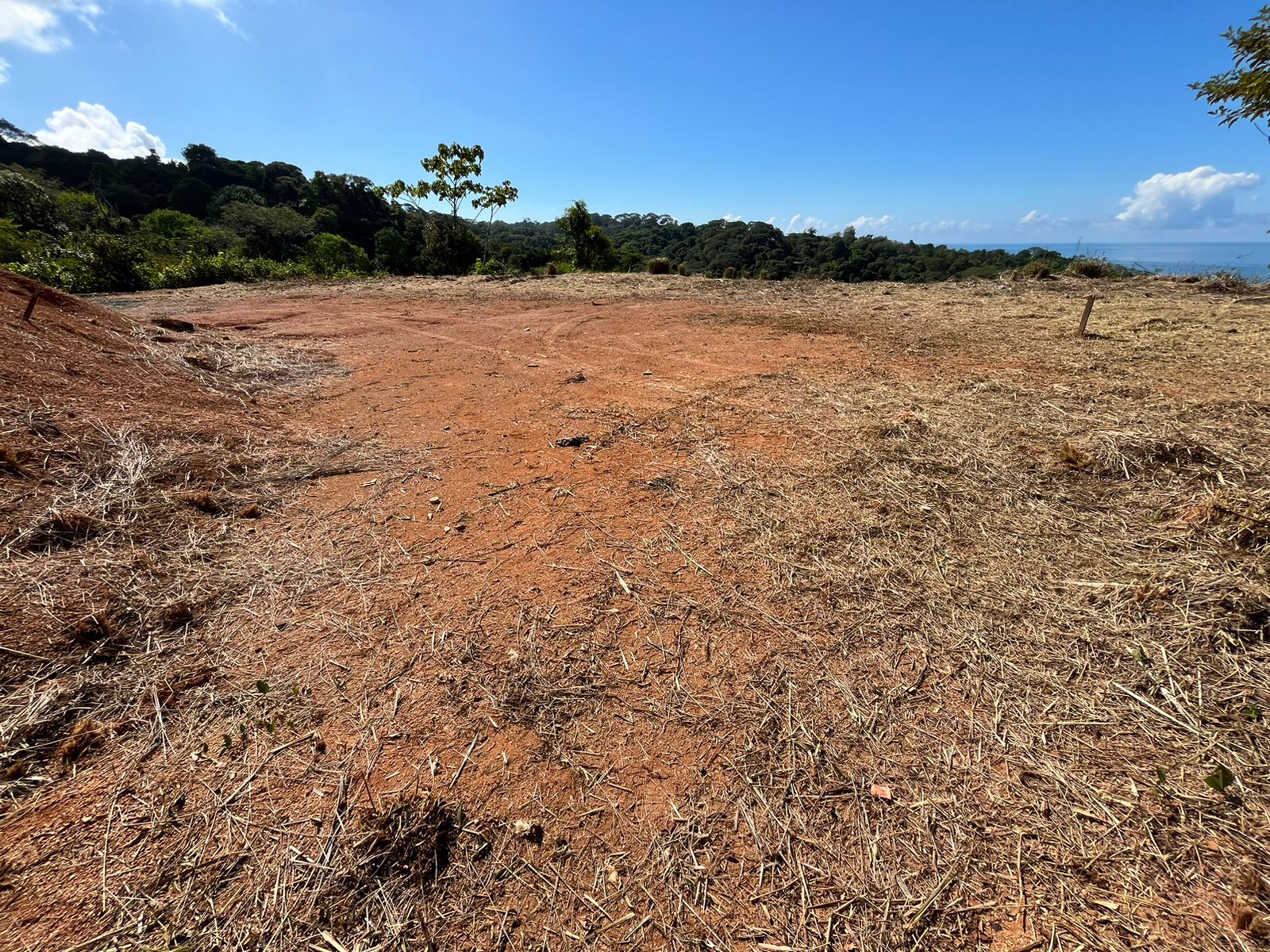 0 bed Land For Sale in Dominical, Puntarenas - thumb 8