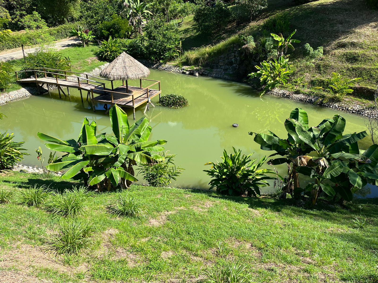 0 bed Land For Sale in Dominical, Puntarenas - thumb 11