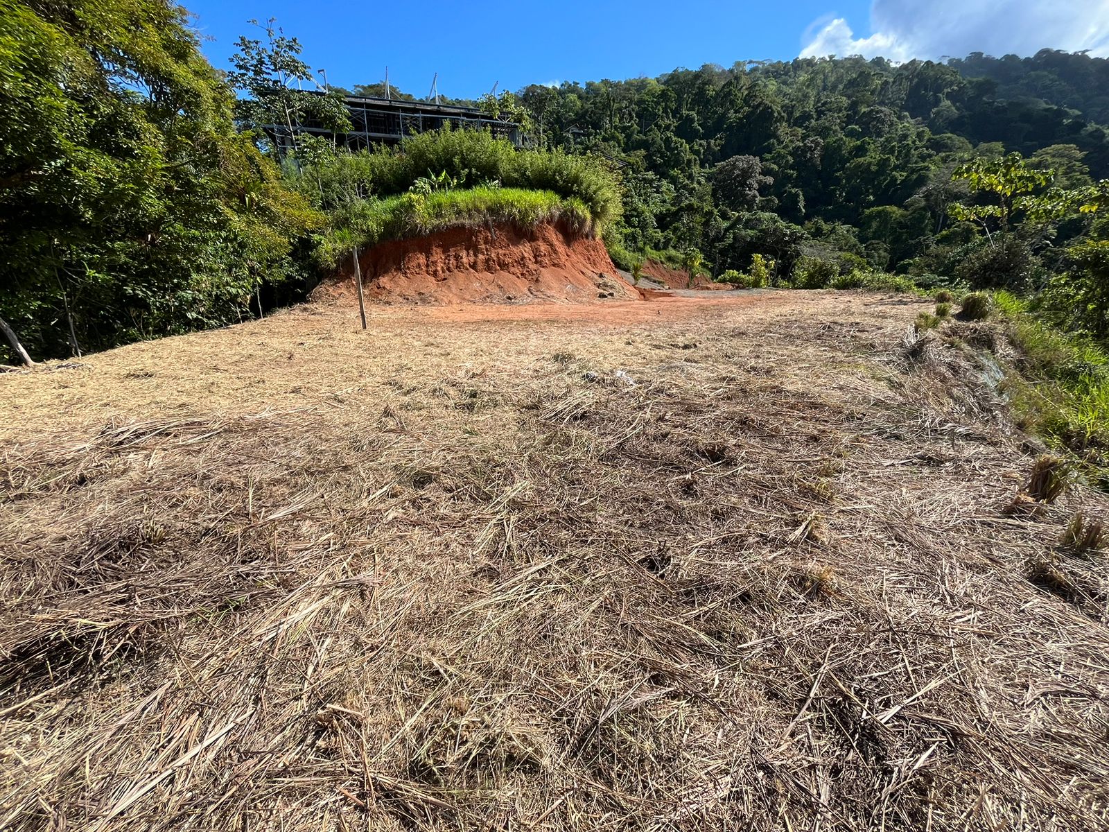 0 bed Land For Sale in Dominical, Puntarenas - thumb 10