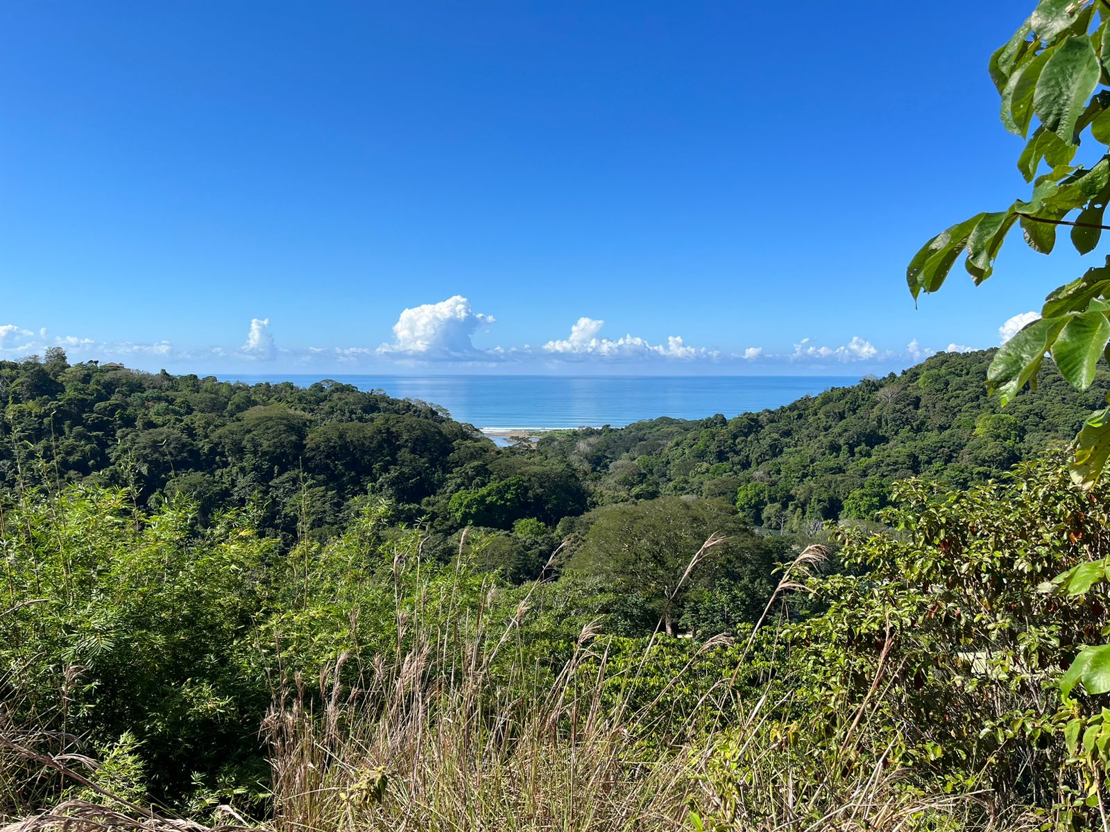 0 bed Land For Sale in Dominical, Puntarenas - thumb 7
