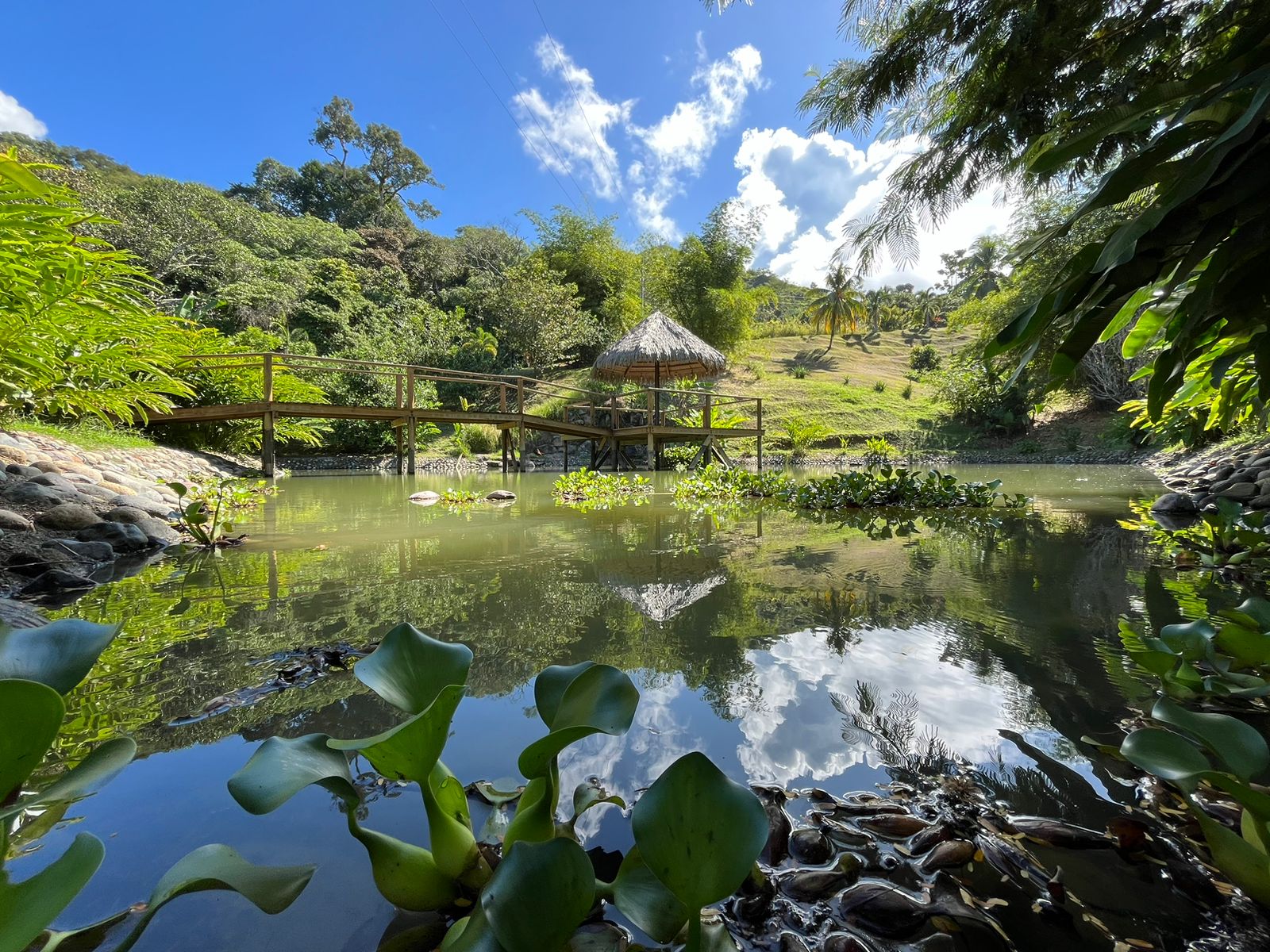 0 bed Land For Sale in Dominical, Puntarenas - thumb 17