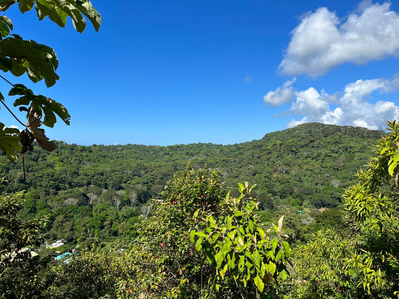 0 bed Land For Sale in Dominical, Puntarenas - thumb 4