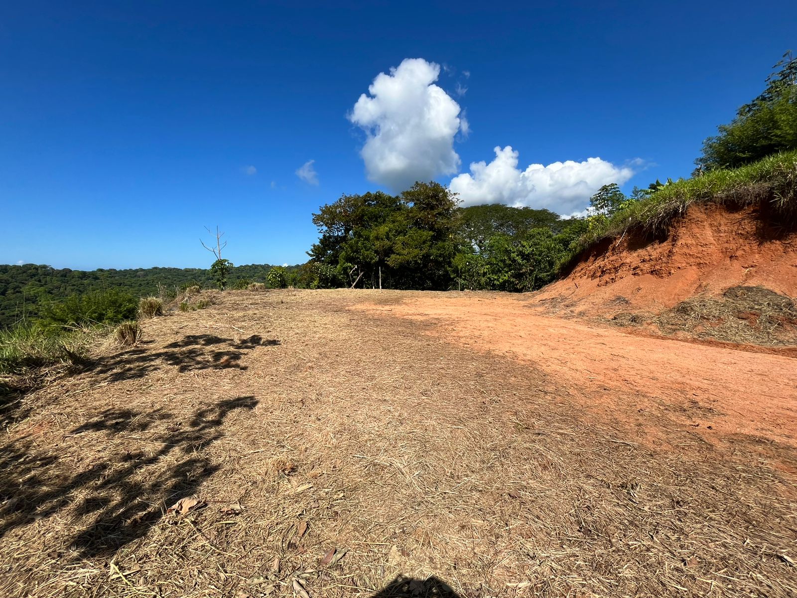0 bed Land For Sale in Dominical, Puntarenas - thumb 14