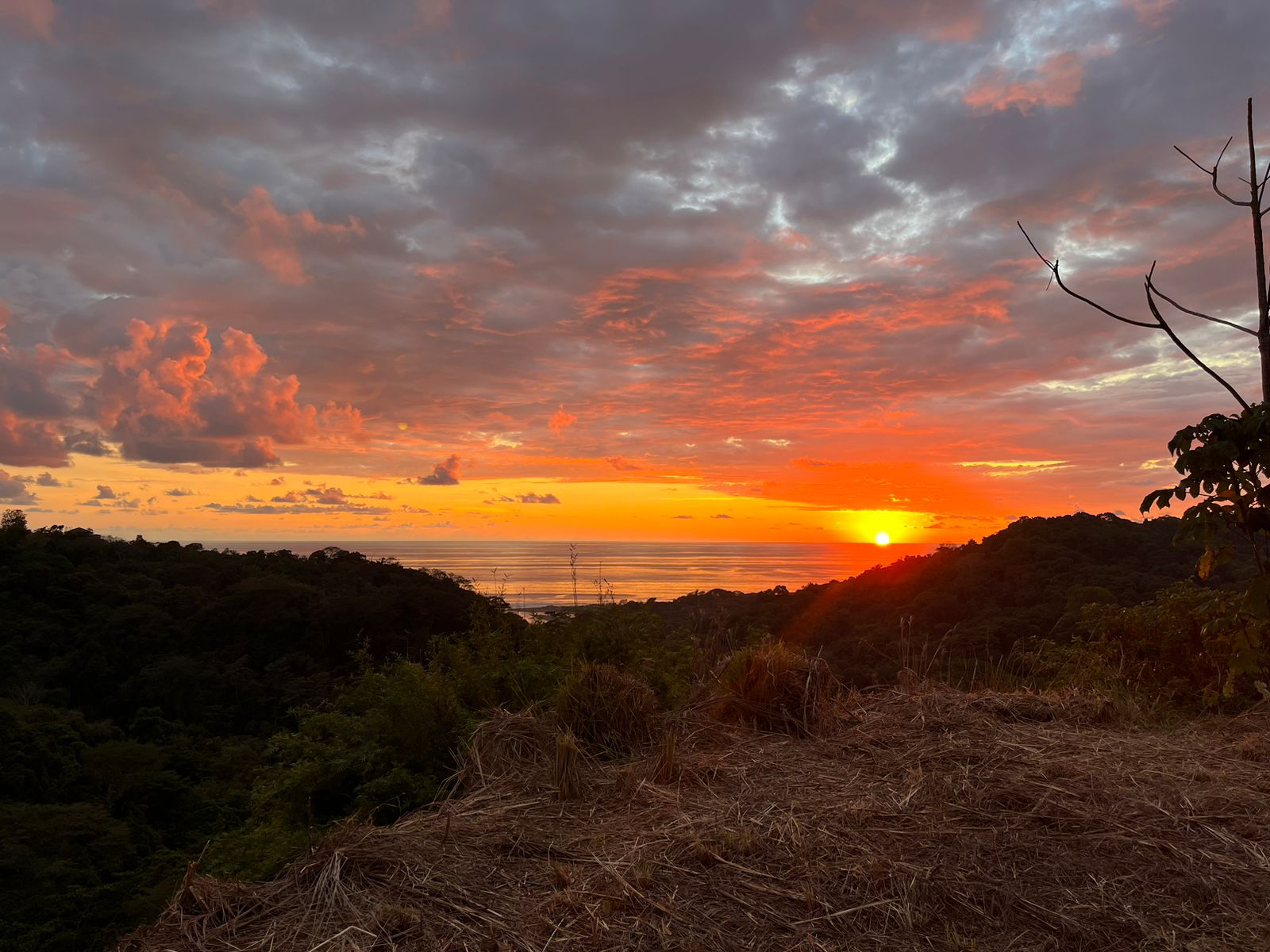 0 bed Land For Sale in Dominical, Puntarenas - thumb 1