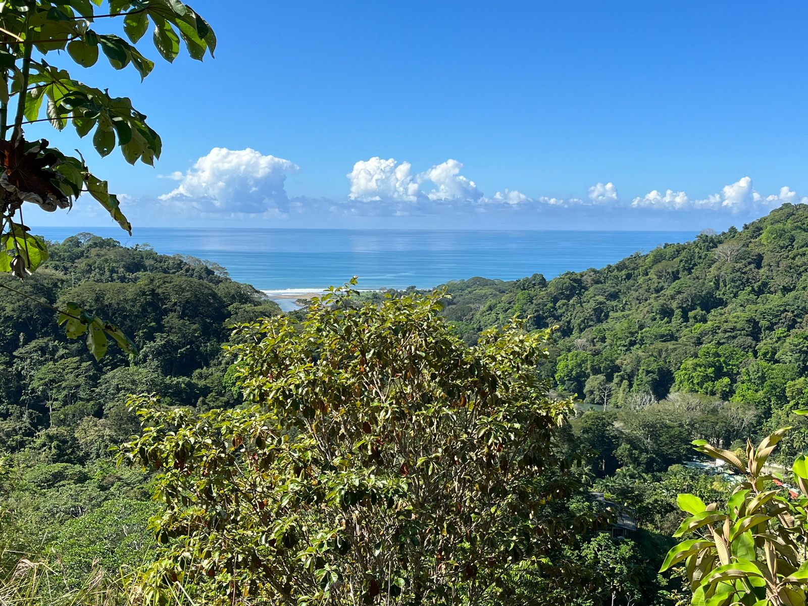 0 bed Land For Sale in Dominical, Puntarenas - thumb 5