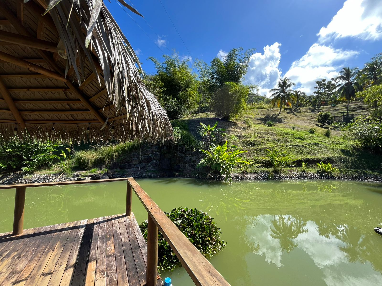 0 bed Land For Sale in Dominical, Puntarenas - thumb 19