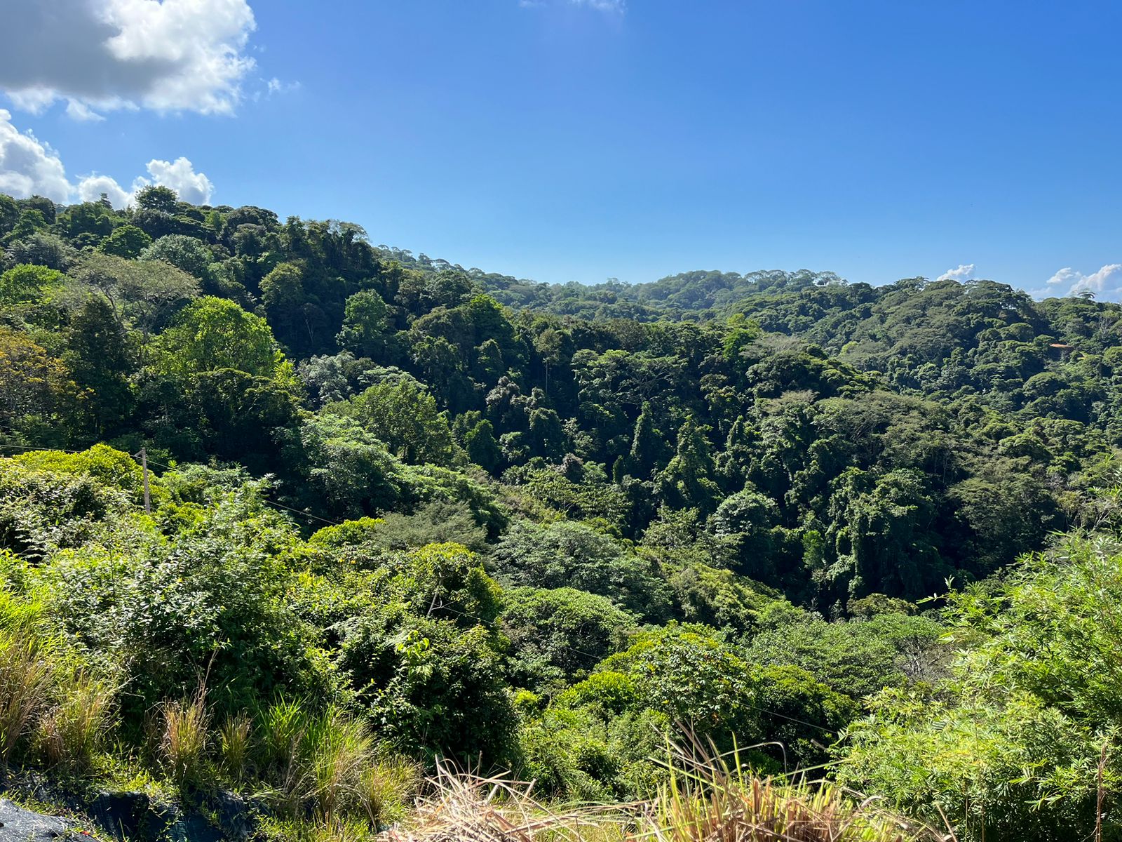 0 bed Land For Sale in Dominical, Puntarenas - thumb 9