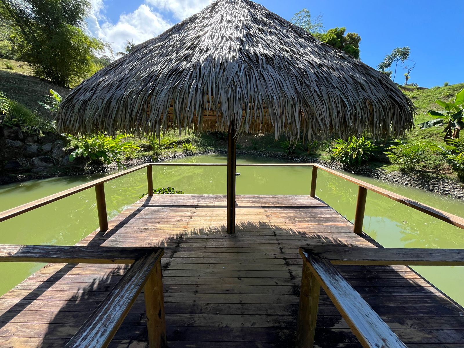 0 bed Land For Sale in Dominical, Puntarenas - thumb 21