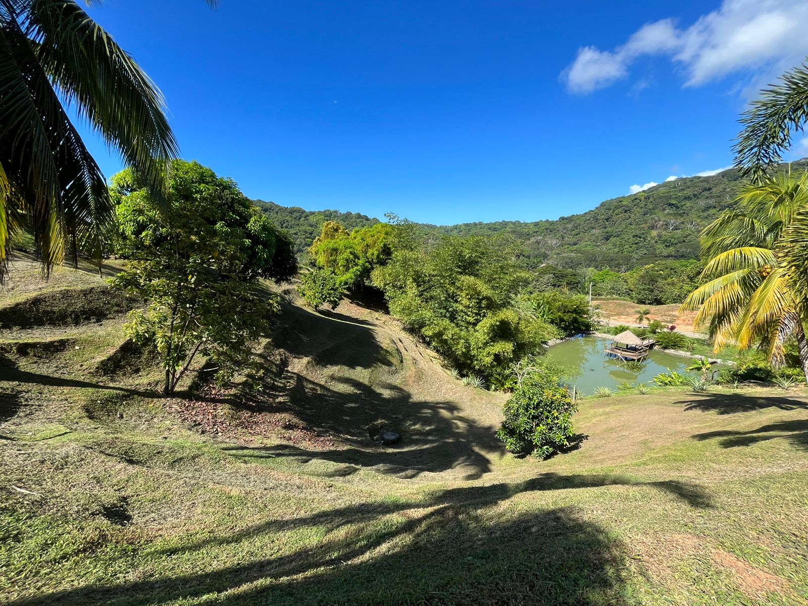 0 bed Land For Sale in Dominical, Puntarenas - thumb 18