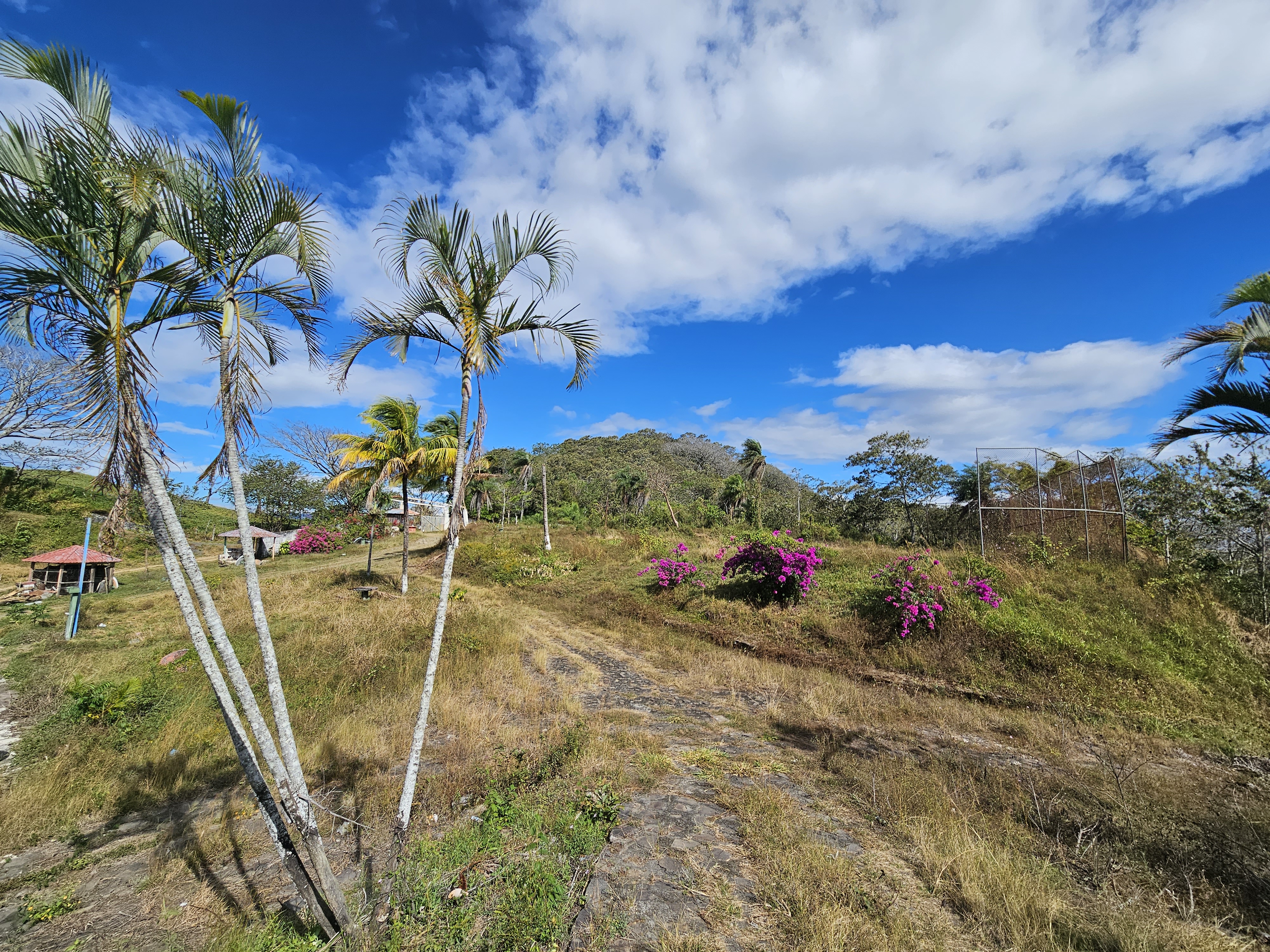 0 bed Land For Sale in Alajuela, Alajuela - thumb 19