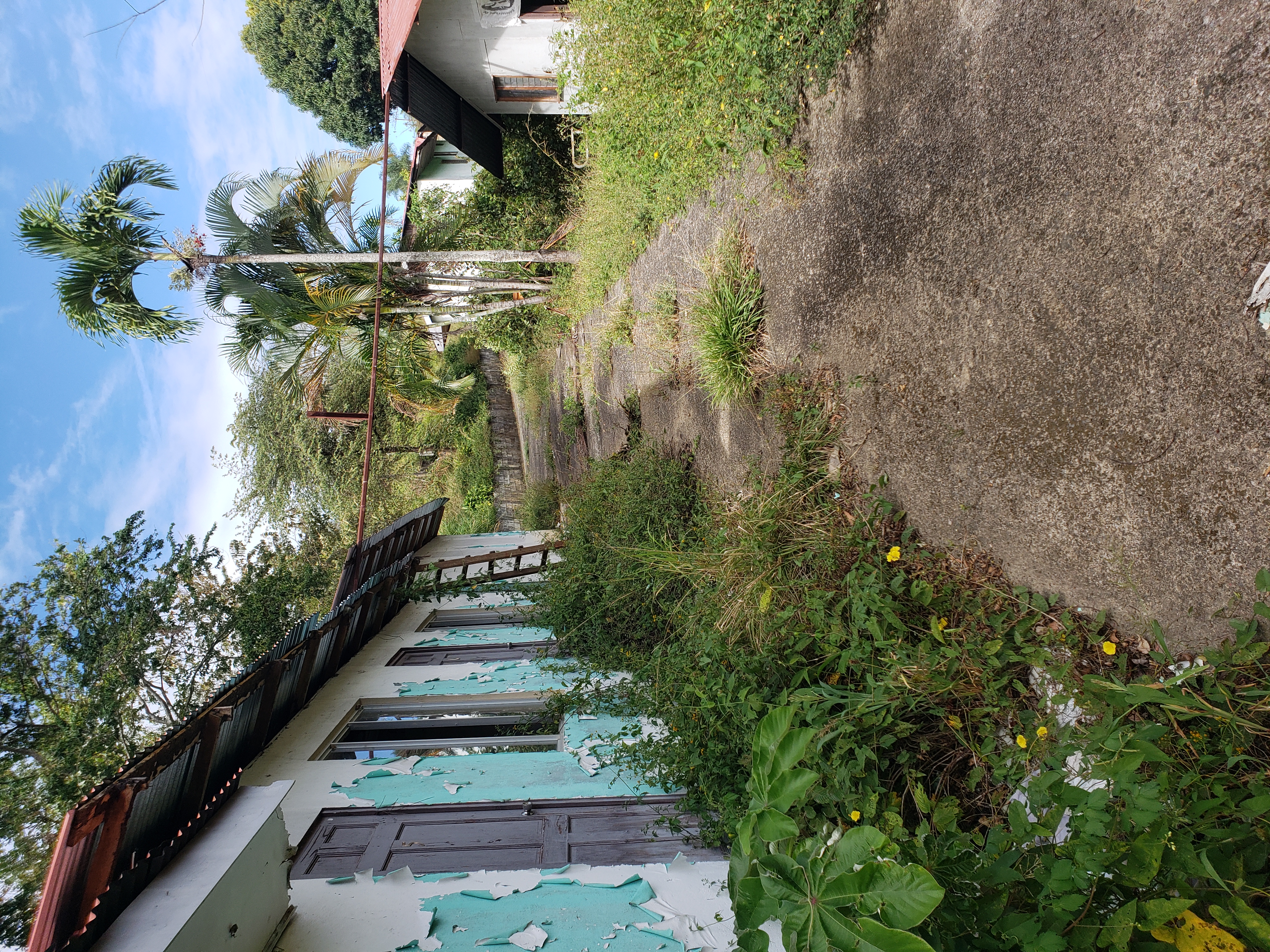 0 bed Land For Sale in Alajuela, Alajuela - thumb 10