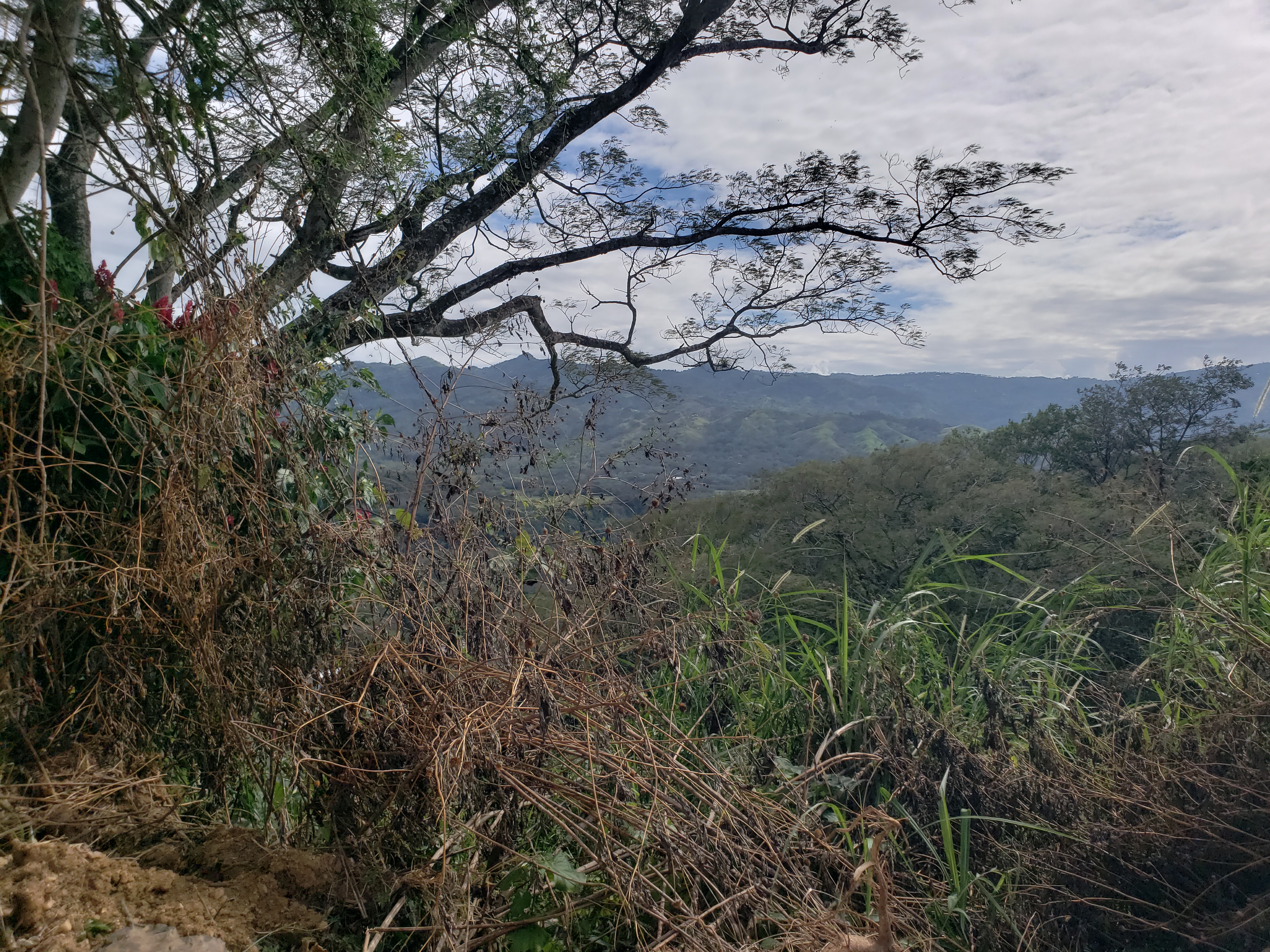 0 bed Land For Sale in Alajuela, Alajuela - thumb 8