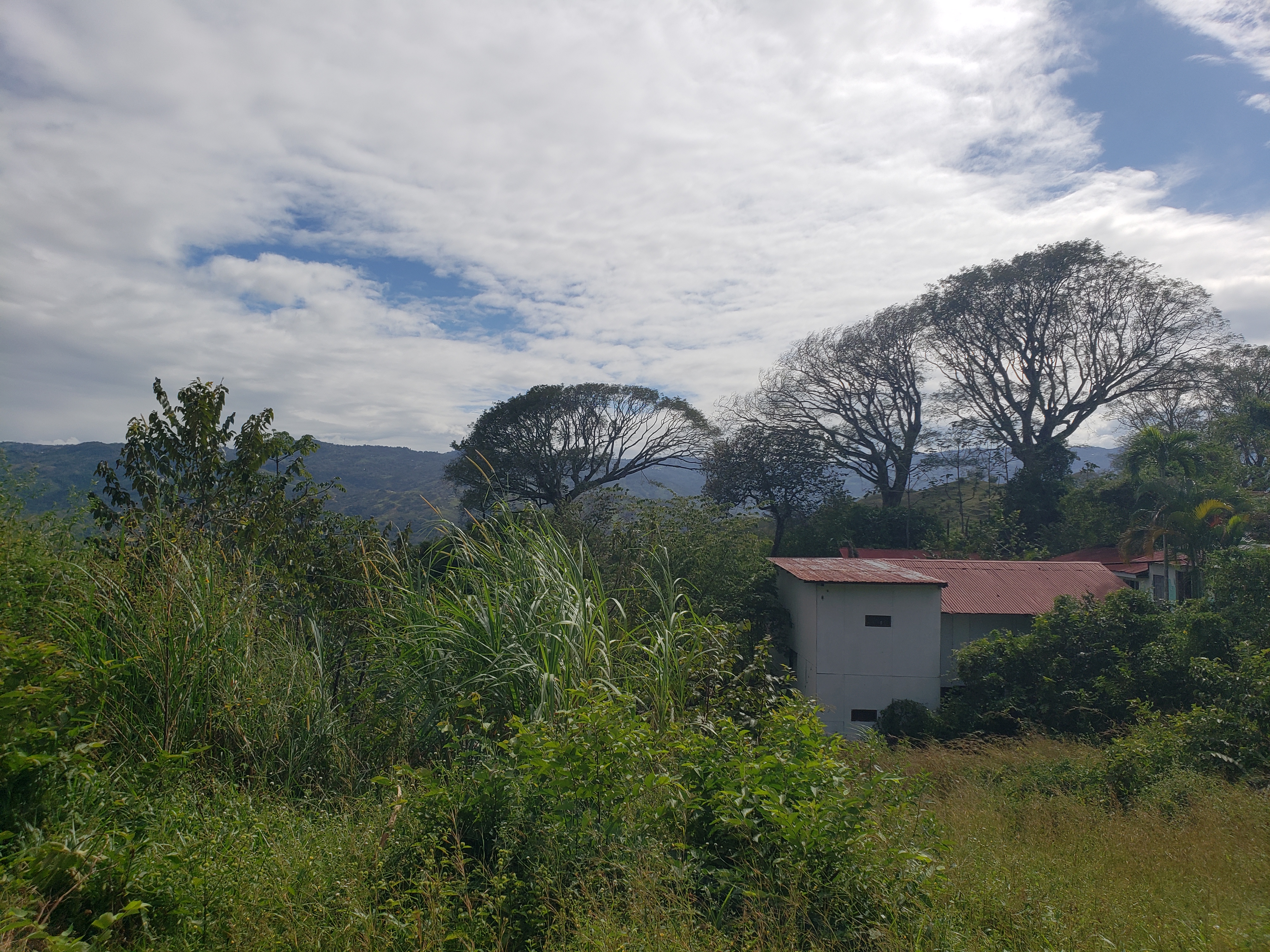 0 bed Land For Sale in Alajuela, Alajuela - thumb 9