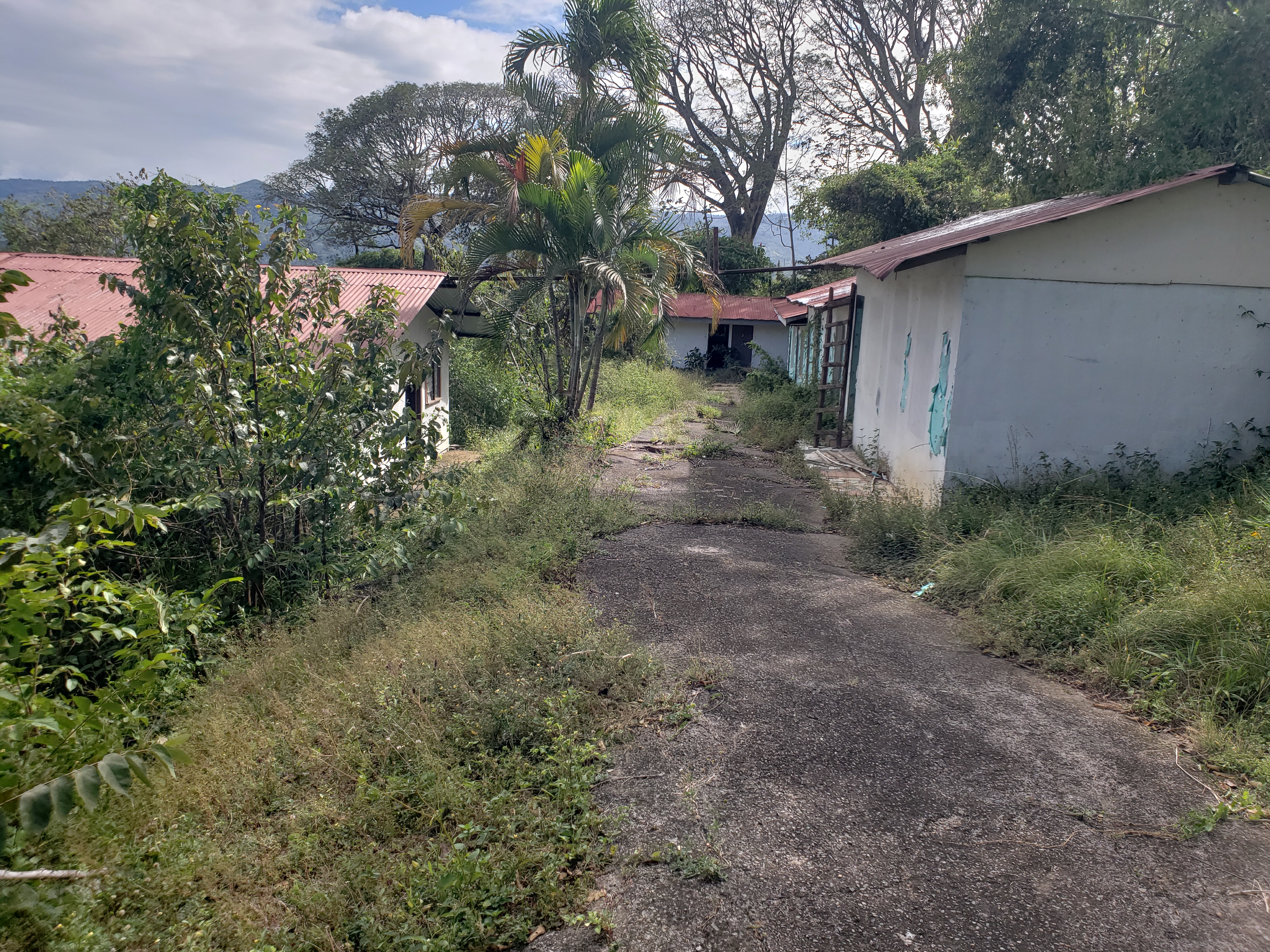 0 bed Land For Sale in Alajuela, Alajuela - thumb 12