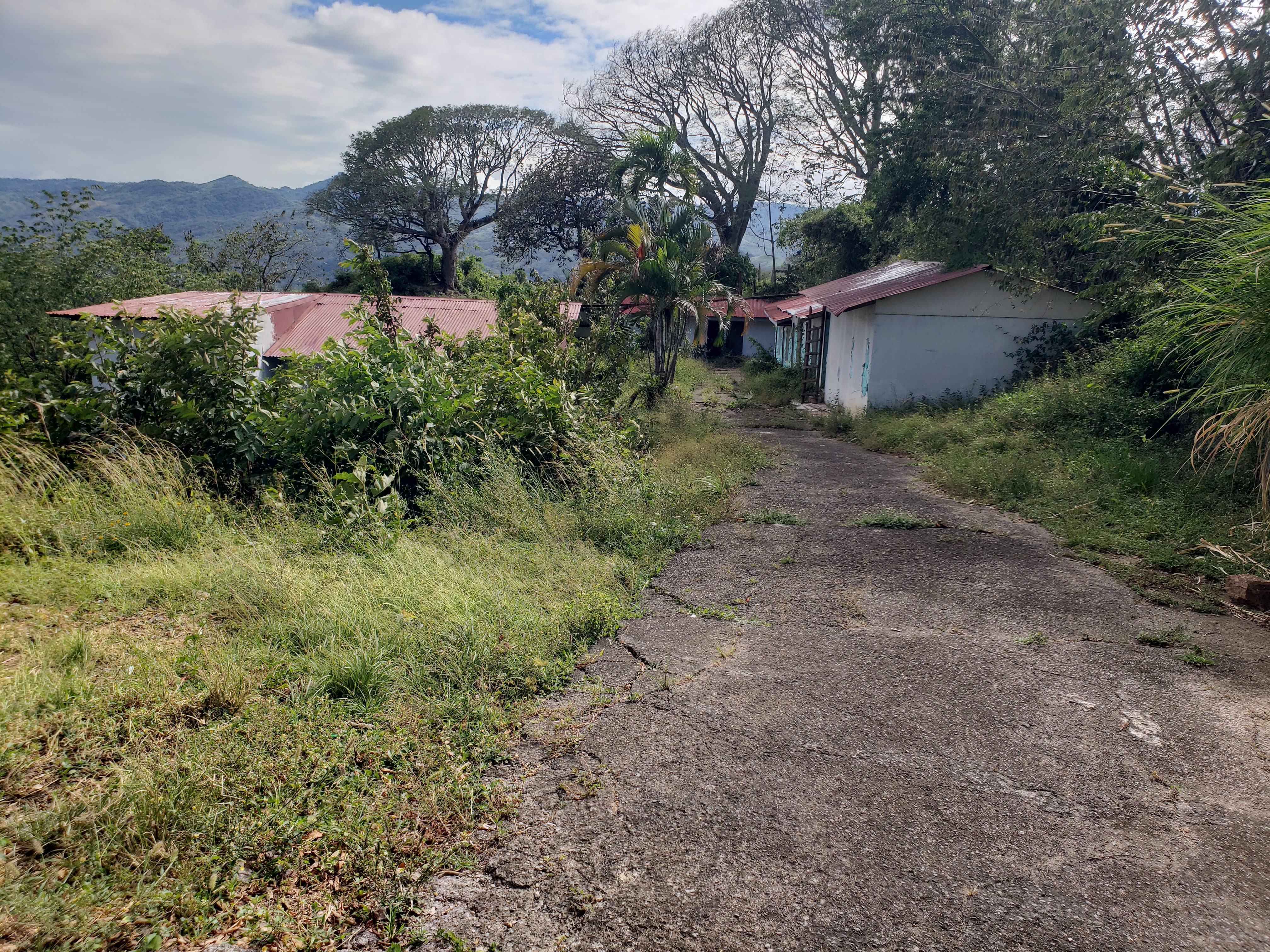 0 bed Land For Sale in Alajuela, Alajuela - thumb 13