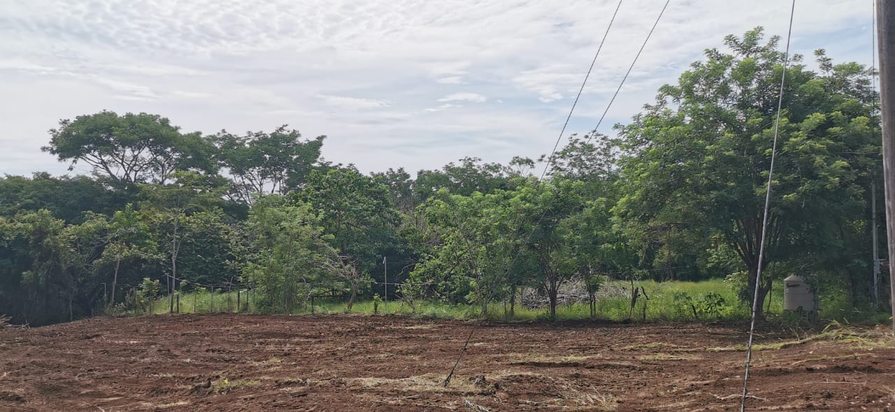 0 bed Land For Sale in Delicias, Puntarenas - thumb 2