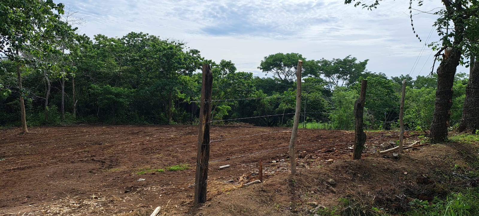 0 bed Land For Sale in Delicias, Puntarenas - thumb 7