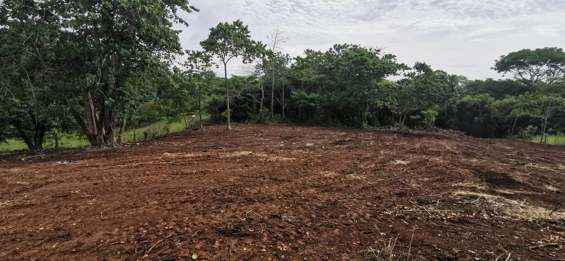 0 bed Land For Sale in Delicias, Puntarenas - thumb 6