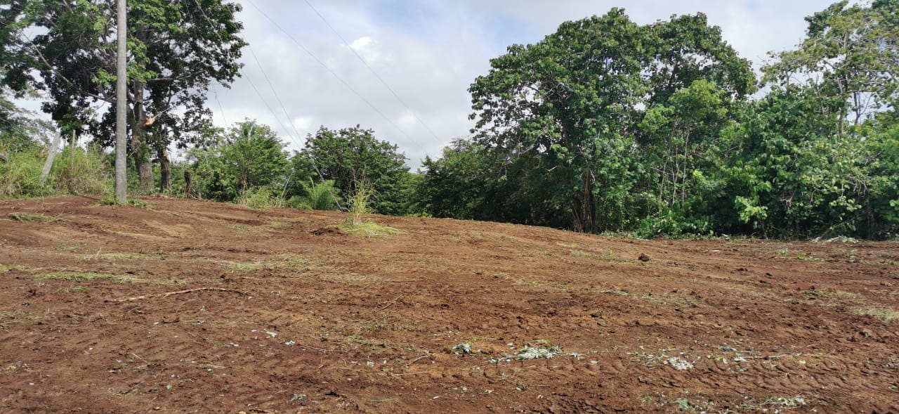 0 bed Land For Sale in Delicias, Puntarenas - thumb 1