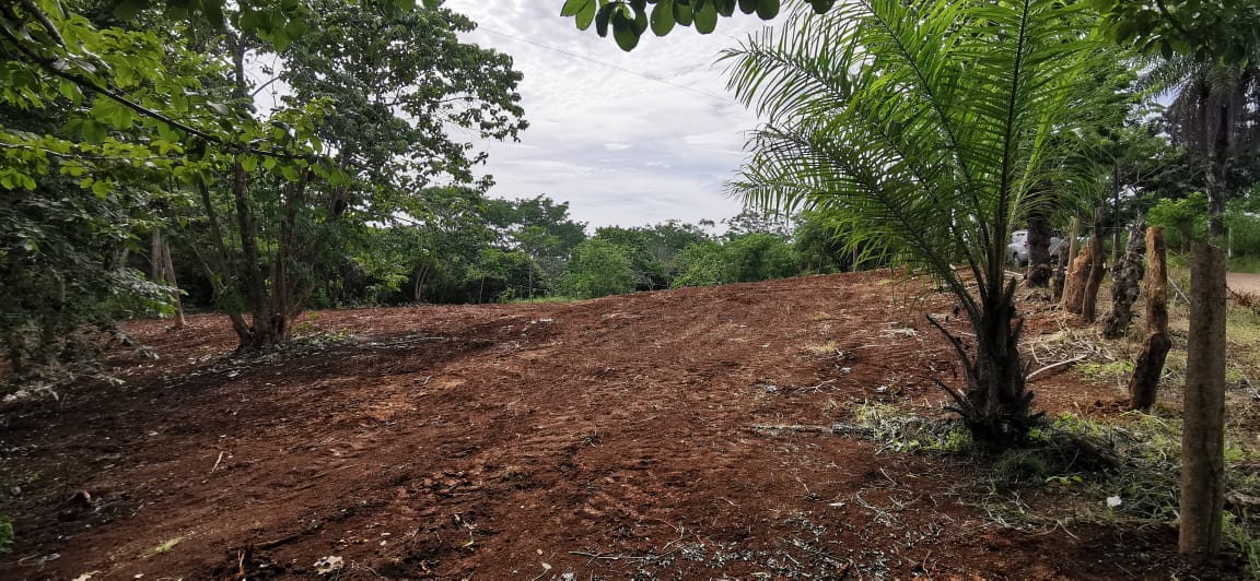 0 bed Land For Sale in Delicias, Puntarenas - thumb 3