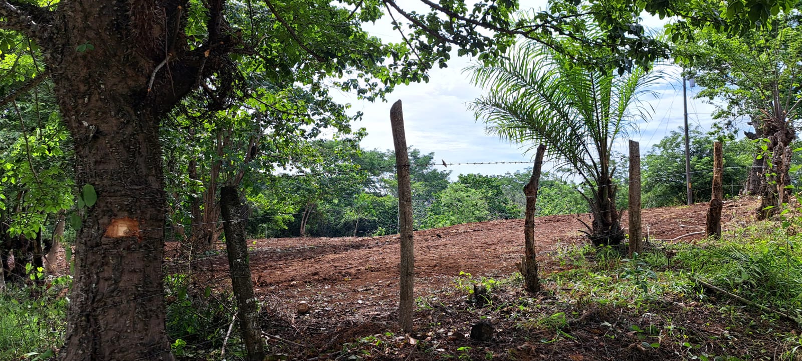 0 bed Land For Sale in Delicias, Puntarenas - thumb 4