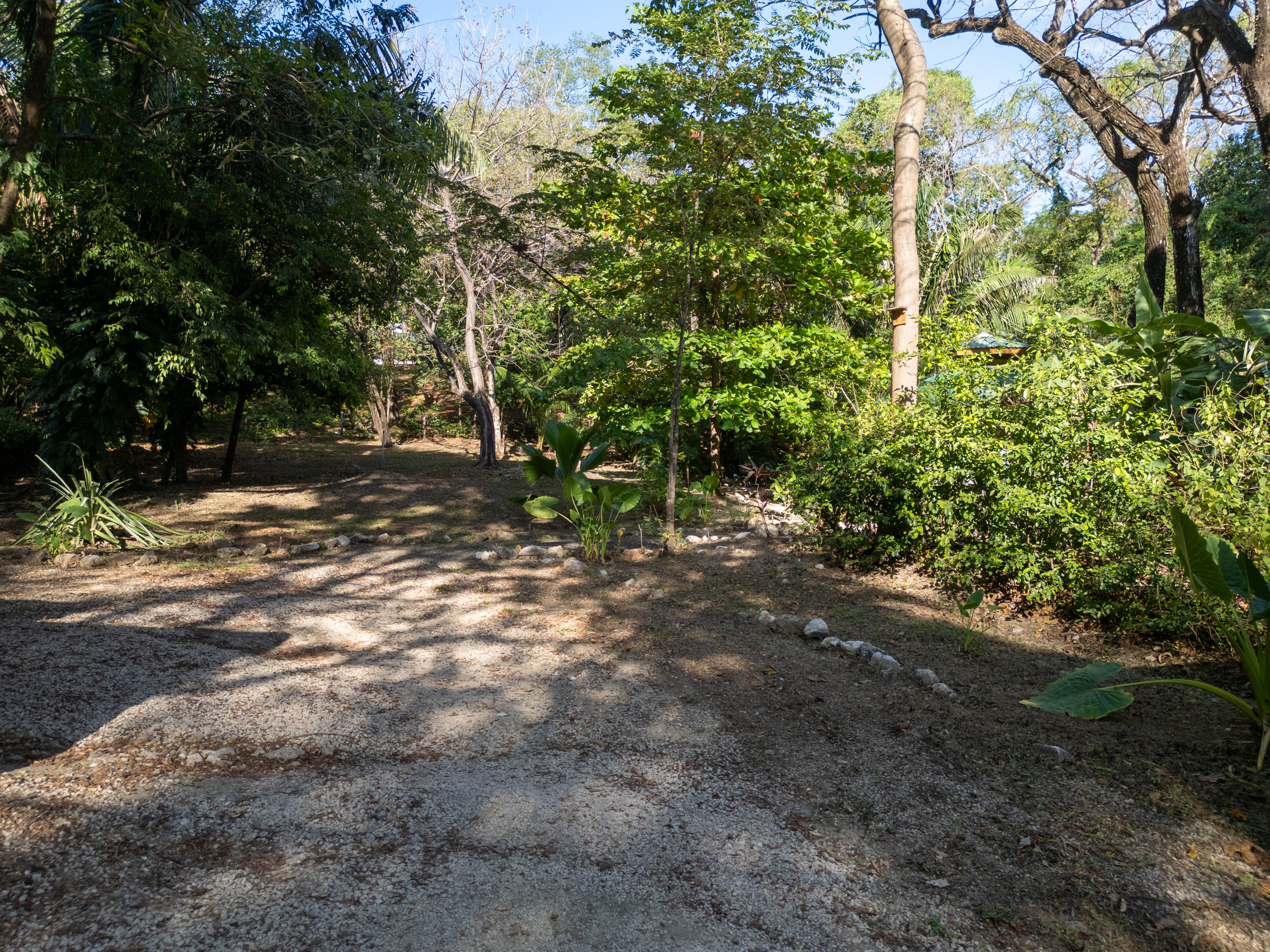 0 bed Land For Sale in Nosara, Guanacaste - thumb 5