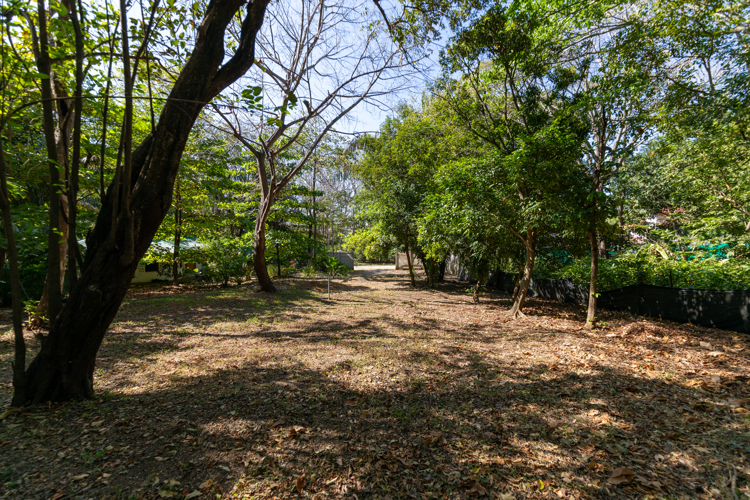 0 bed Land For Sale in Nosara, Guanacaste - thumb 26