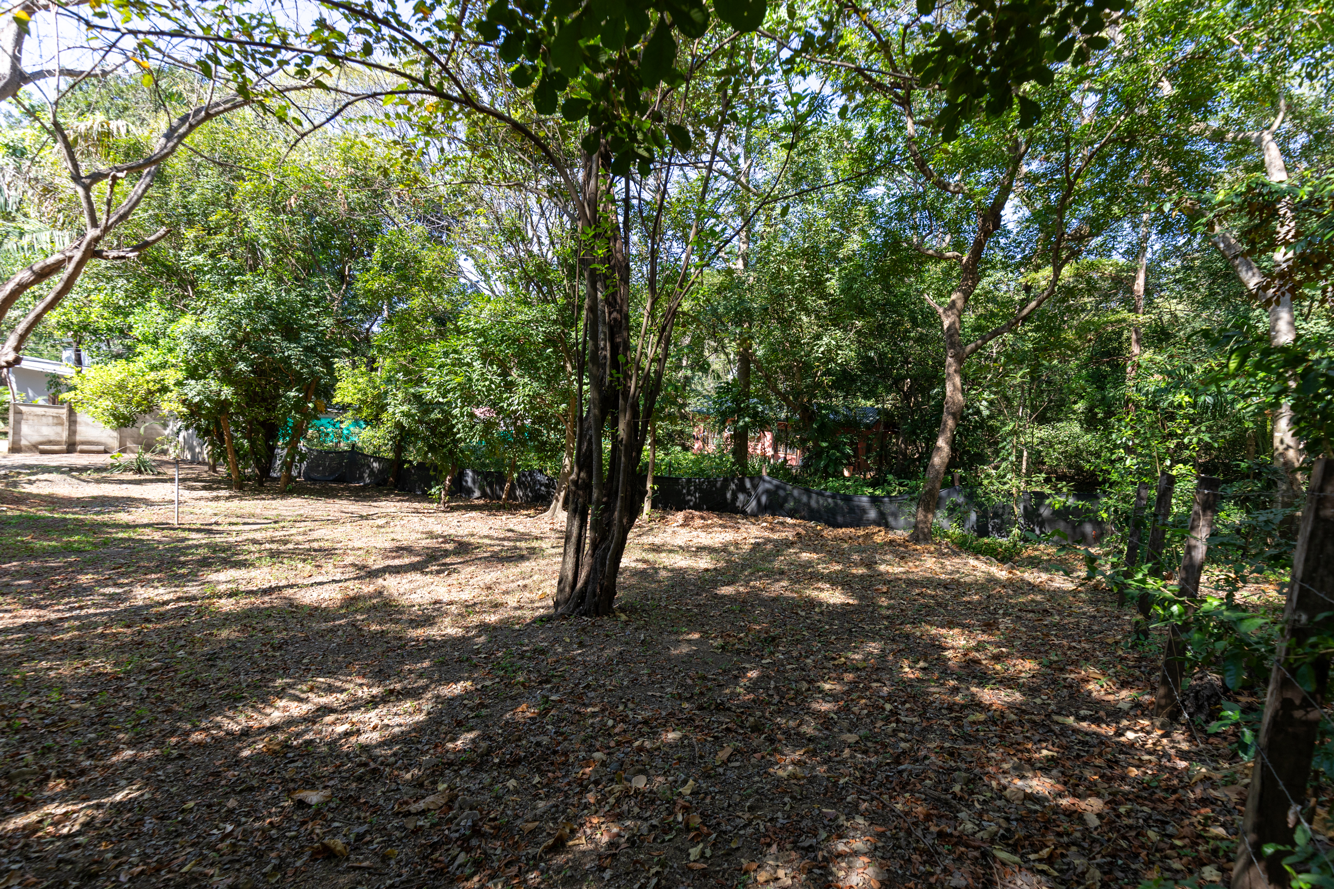 0 bed Land For Sale in Nosara, Guanacaste - thumb 22