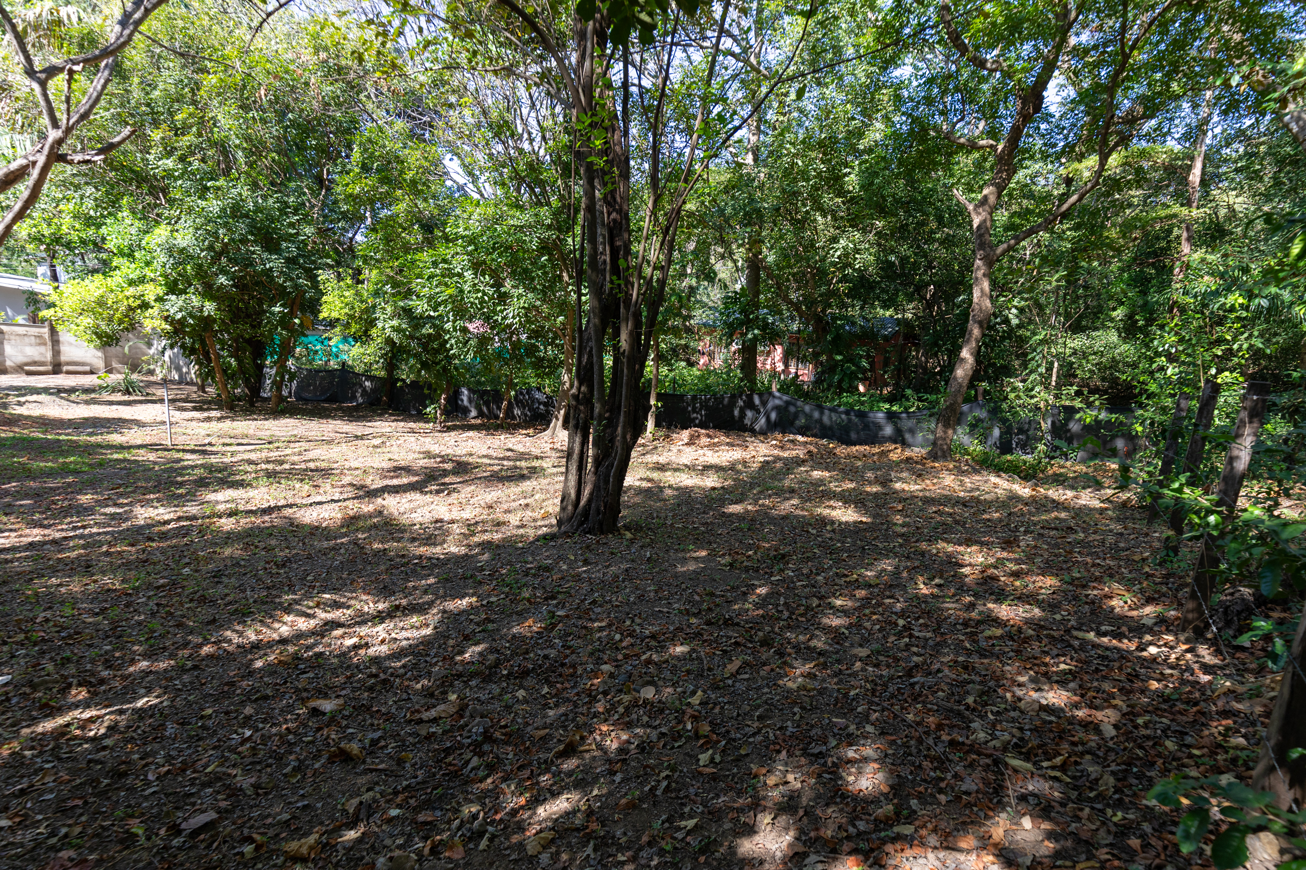0 bed Land For Sale in Nosara, Guanacaste - thumb 24