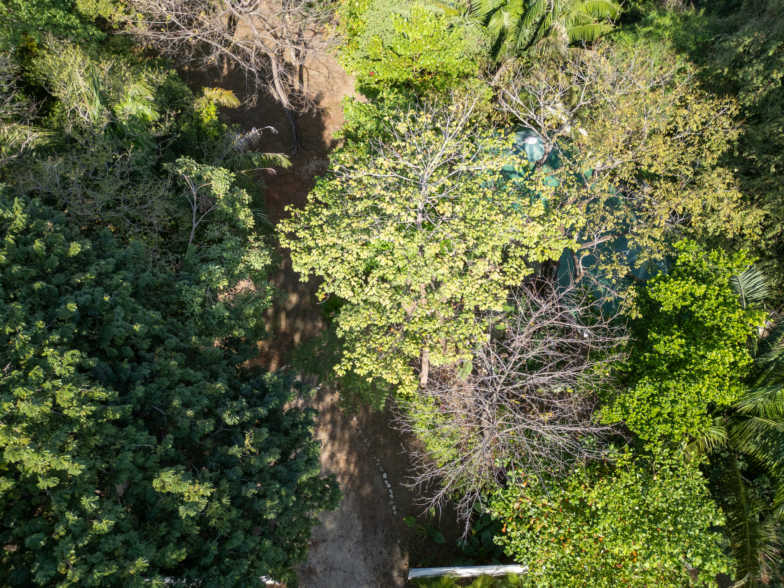 0 bed Land For Sale in Nosara, Guanacaste - thumb 9