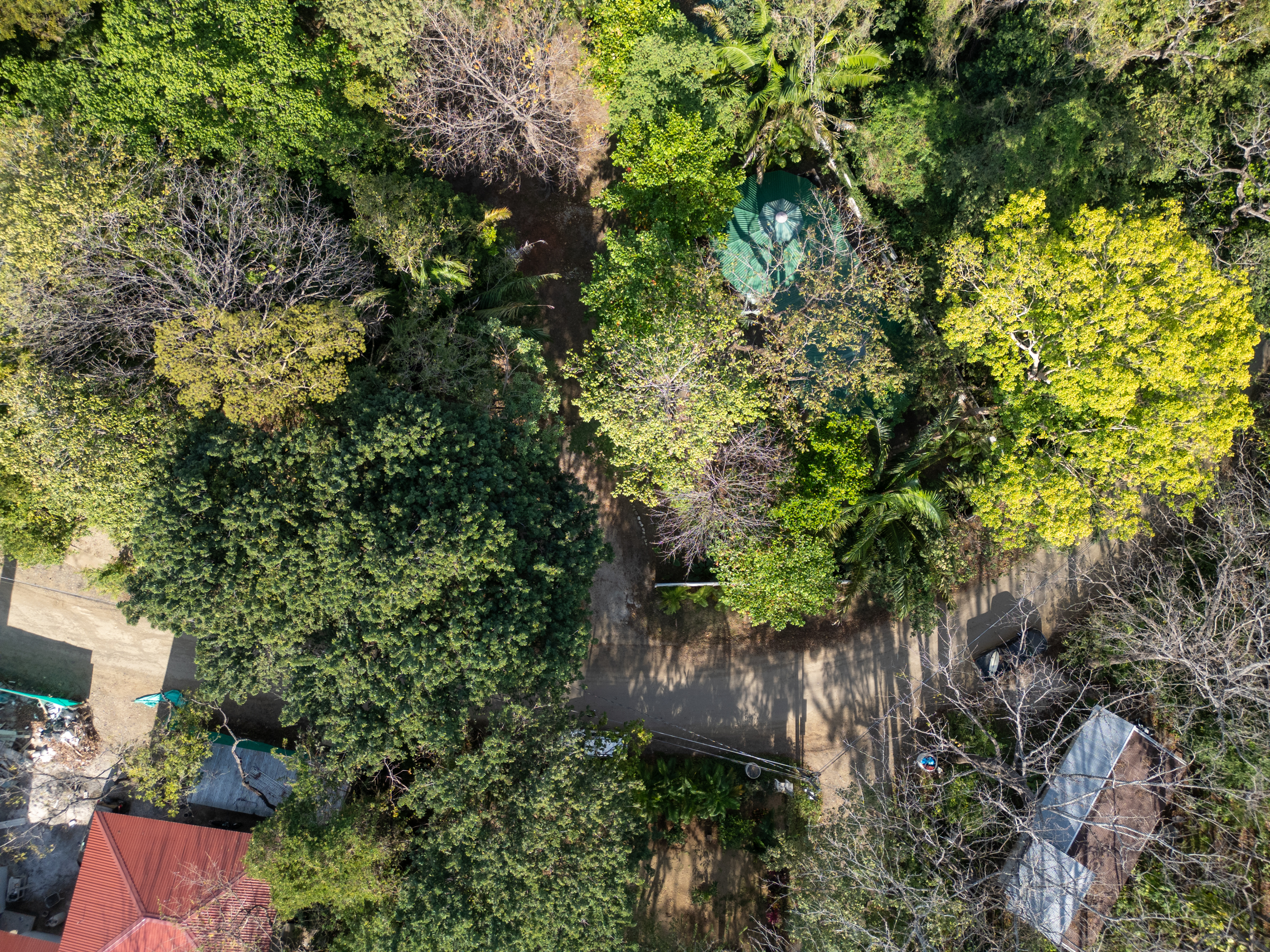 0 bed Land For Sale in Nosara, Guanacaste - thumb 12