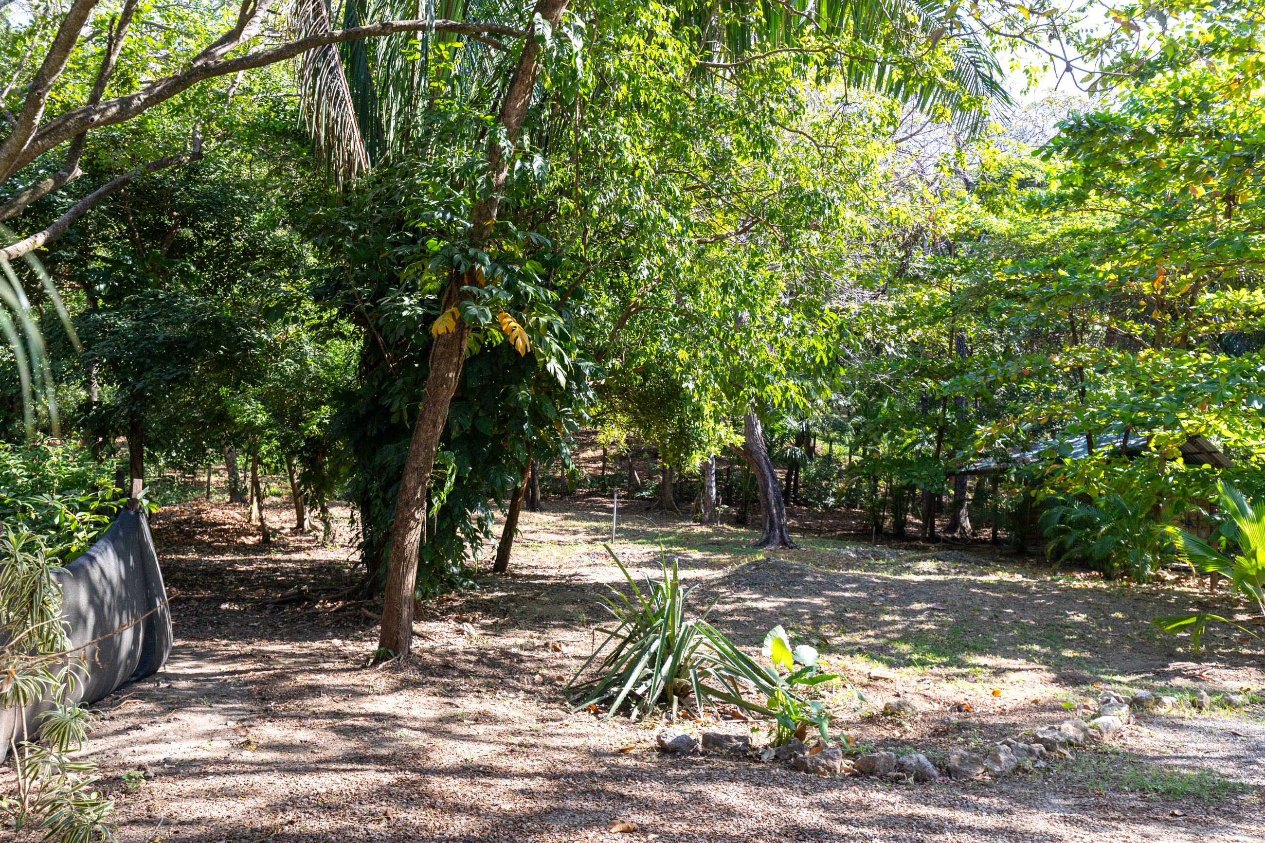 0 bed Land For Sale in Nosara, Guanacaste - thumb 16
