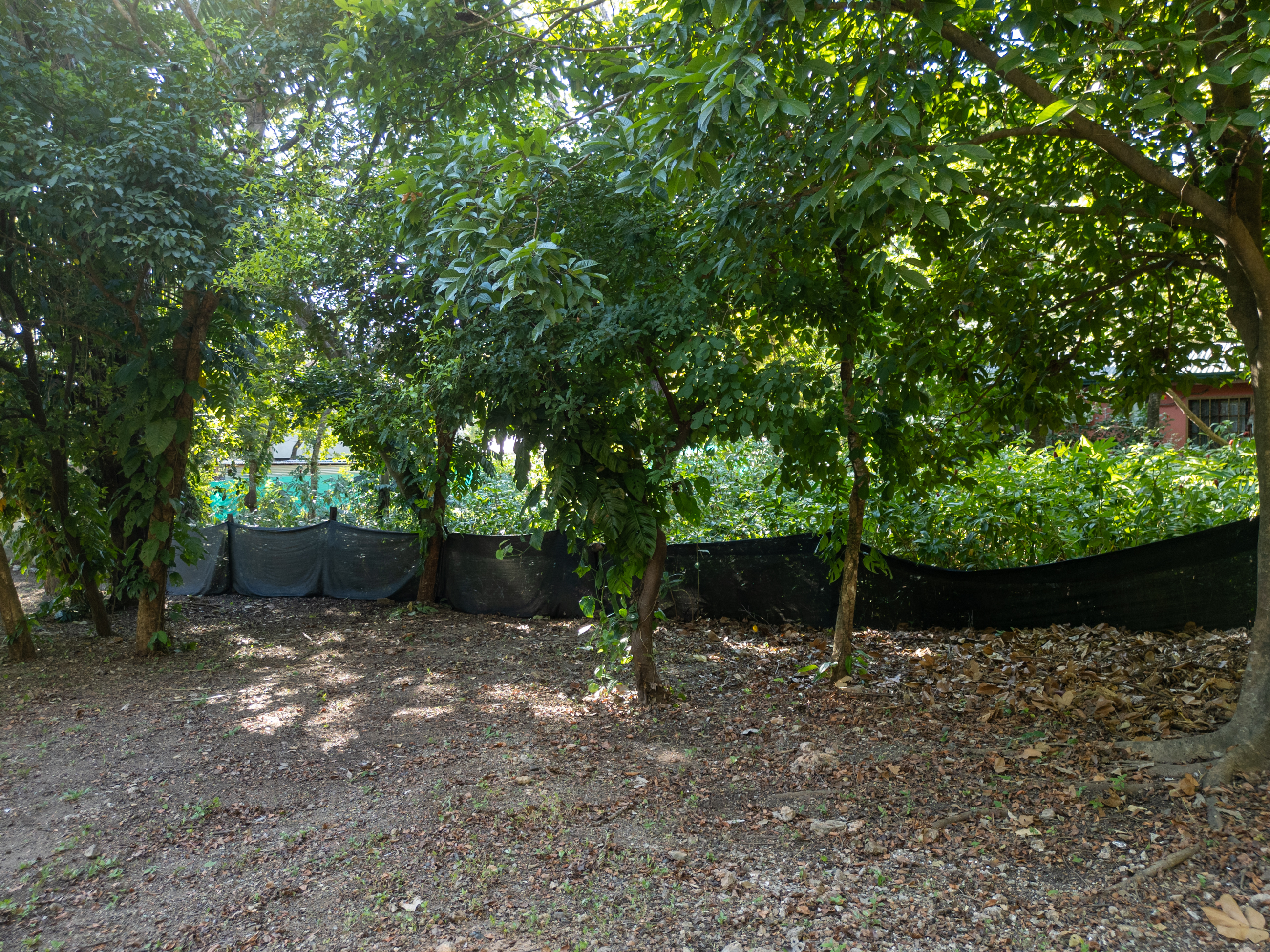 0 bed Land For Sale in Nosara, Guanacaste - thumb 8