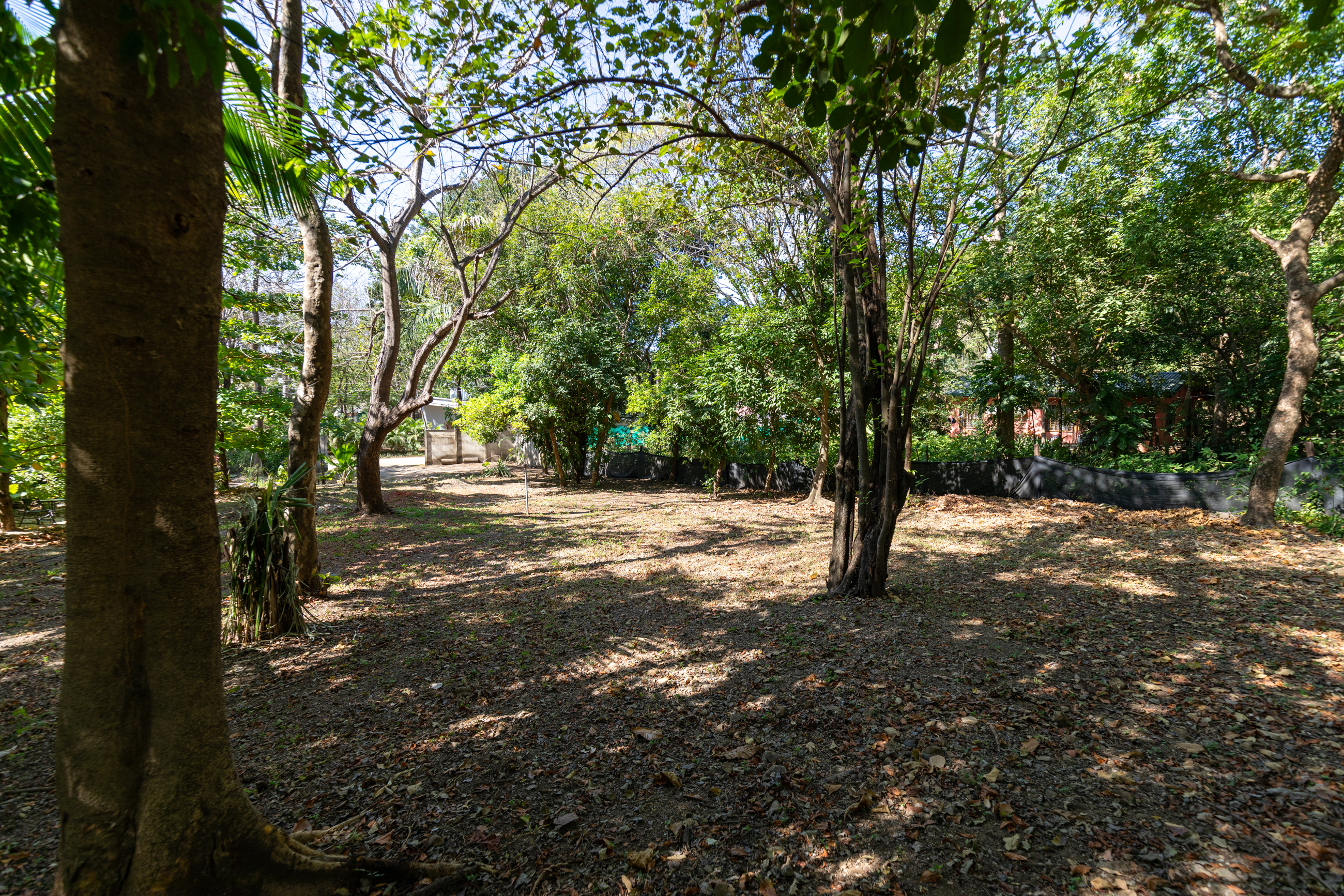 0 bed Land For Sale in Nosara, Guanacaste - thumb 1