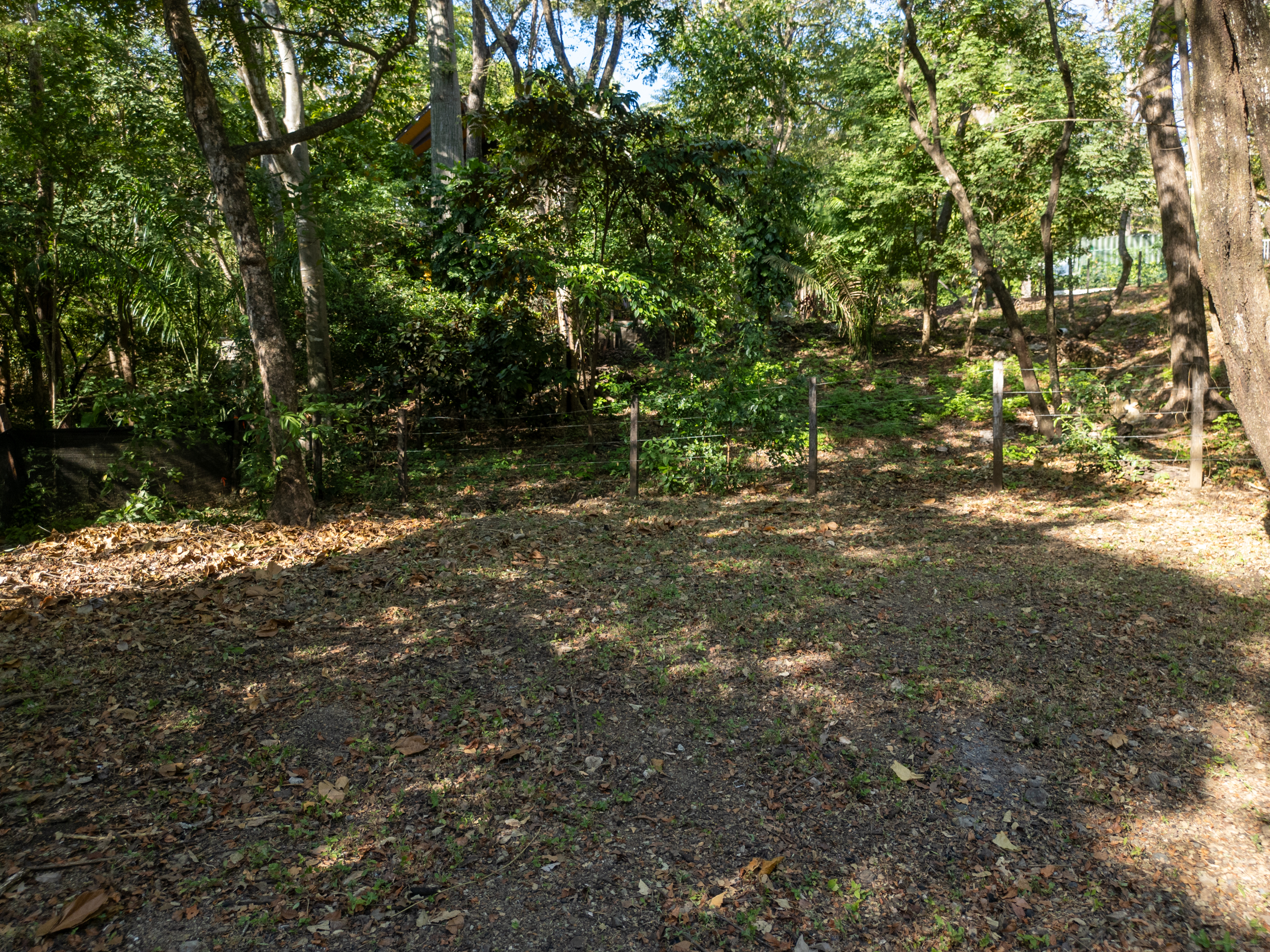 0 bed Land For Sale in Nosara, Guanacaste - thumb 7