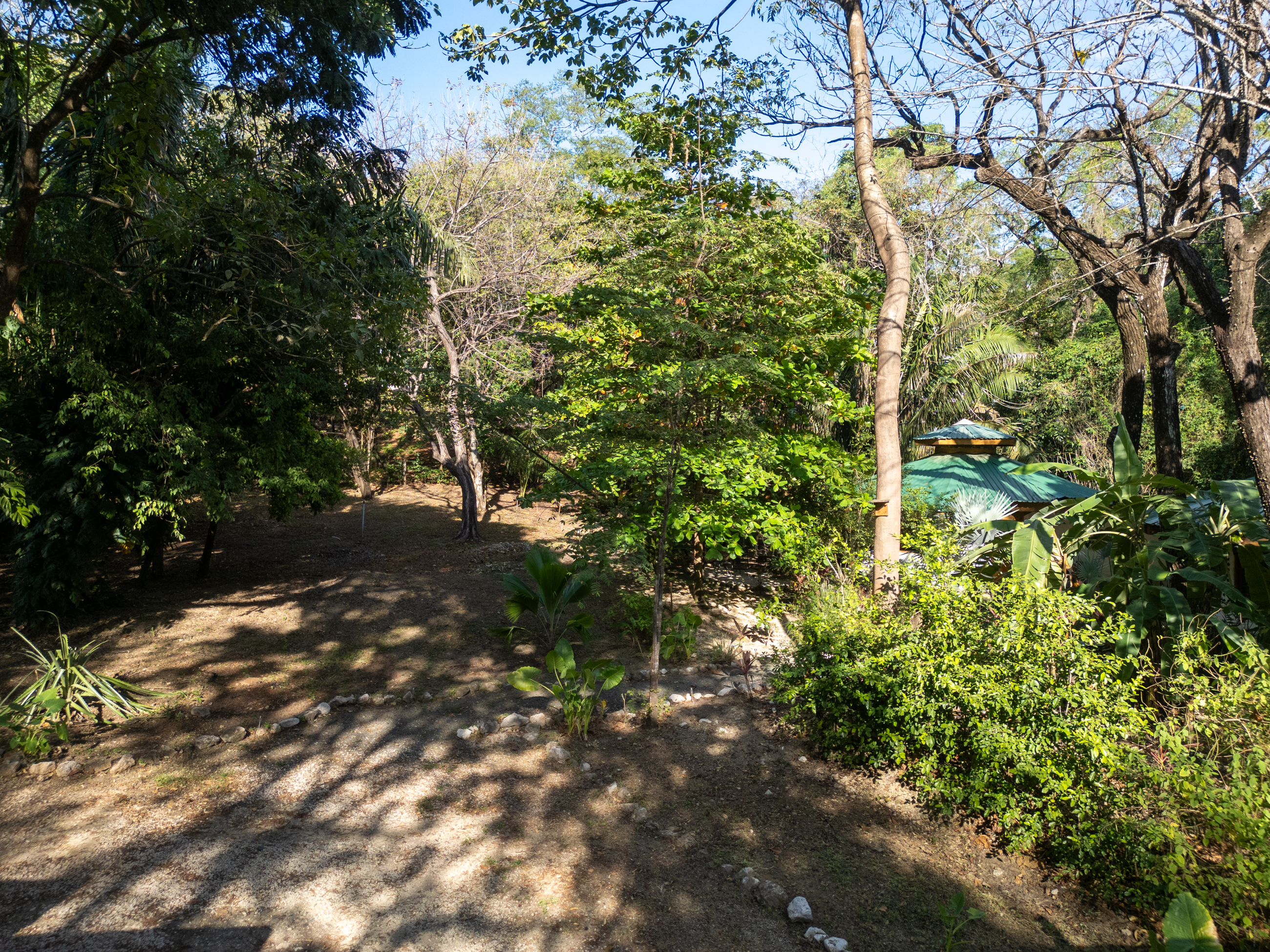 0 bed Land For Sale in Nosara, Guanacaste - thumb 4