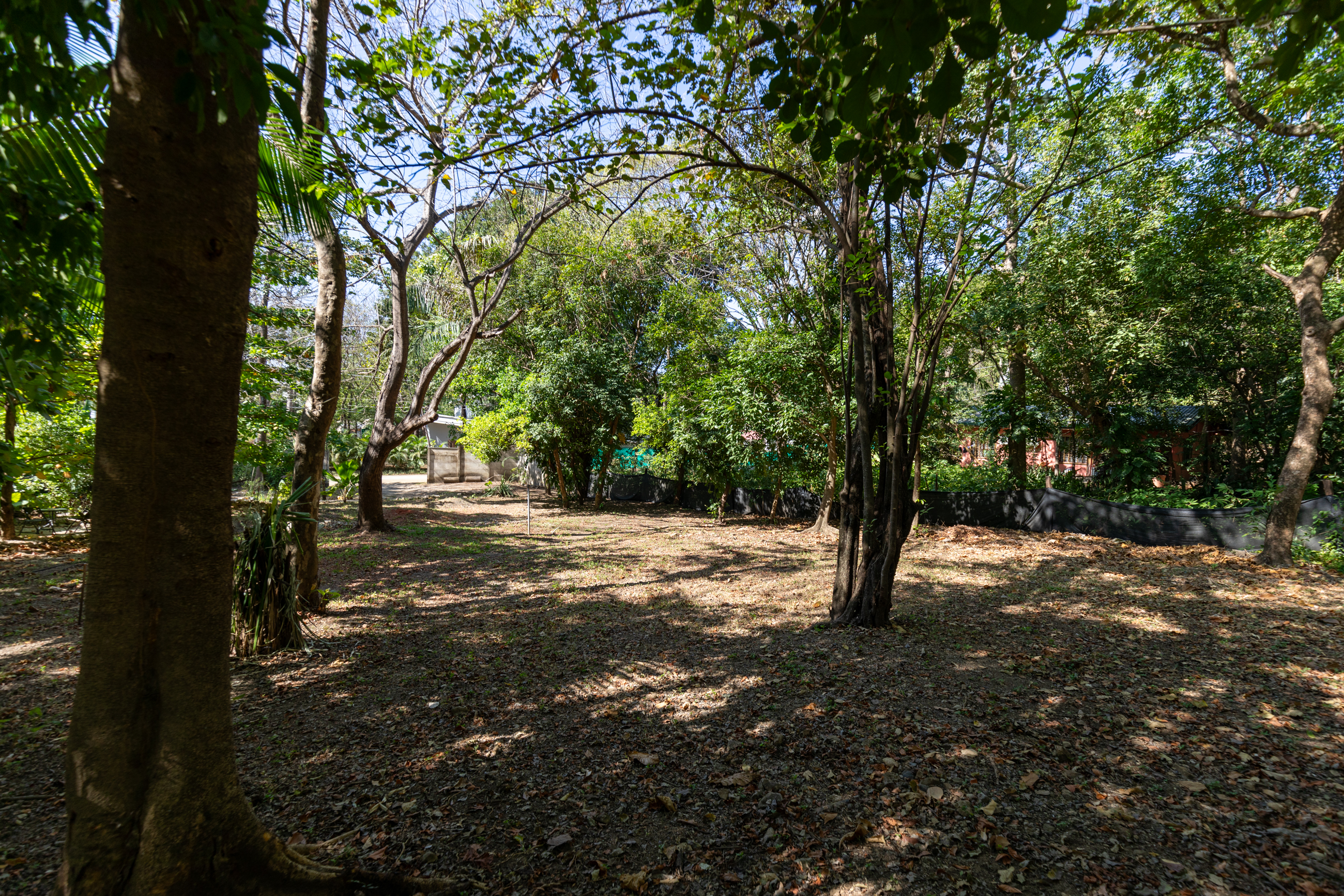 0 bed Land For Sale in Nosara, Guanacaste - thumb 21